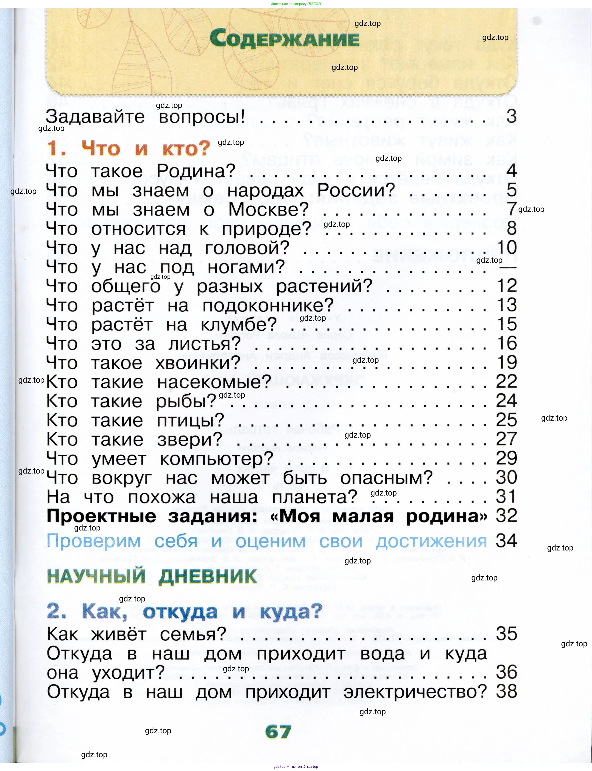 Окружающий мир, 1 класс рабочая тетрадь, автор: Плешаков Андрей Анатольевич, издательство Просвещение, Москва, 2023, белого цвета, страница 67