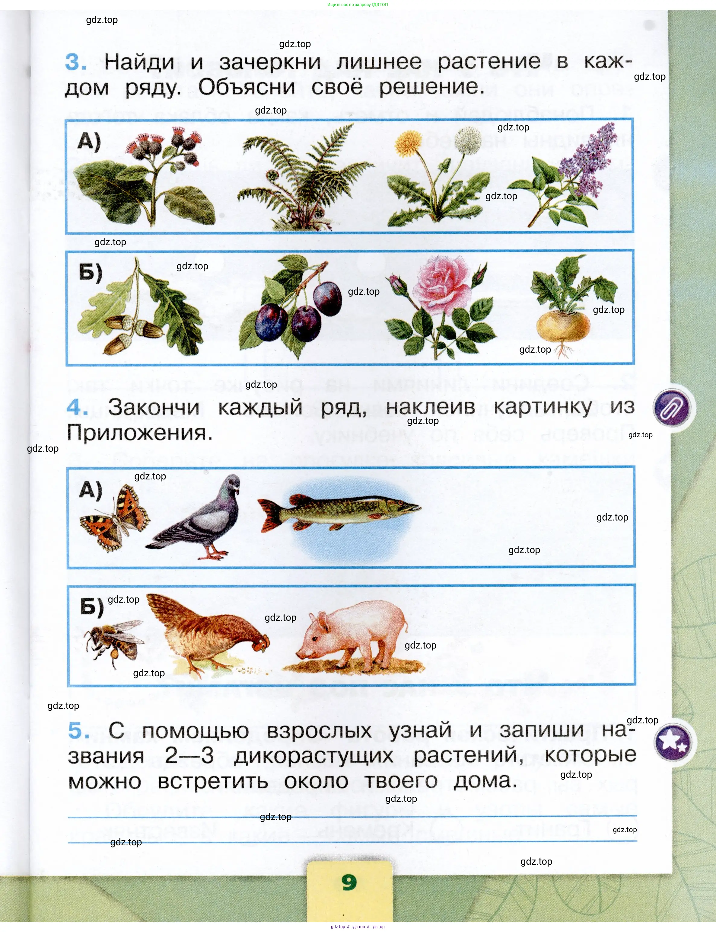 Окружающий мир, 1 класс рабочая тетрадь, автор: Плешаков Андрей Анатольевич, издательство Просвещение, Москва, 2023, белого цвета, страница 9