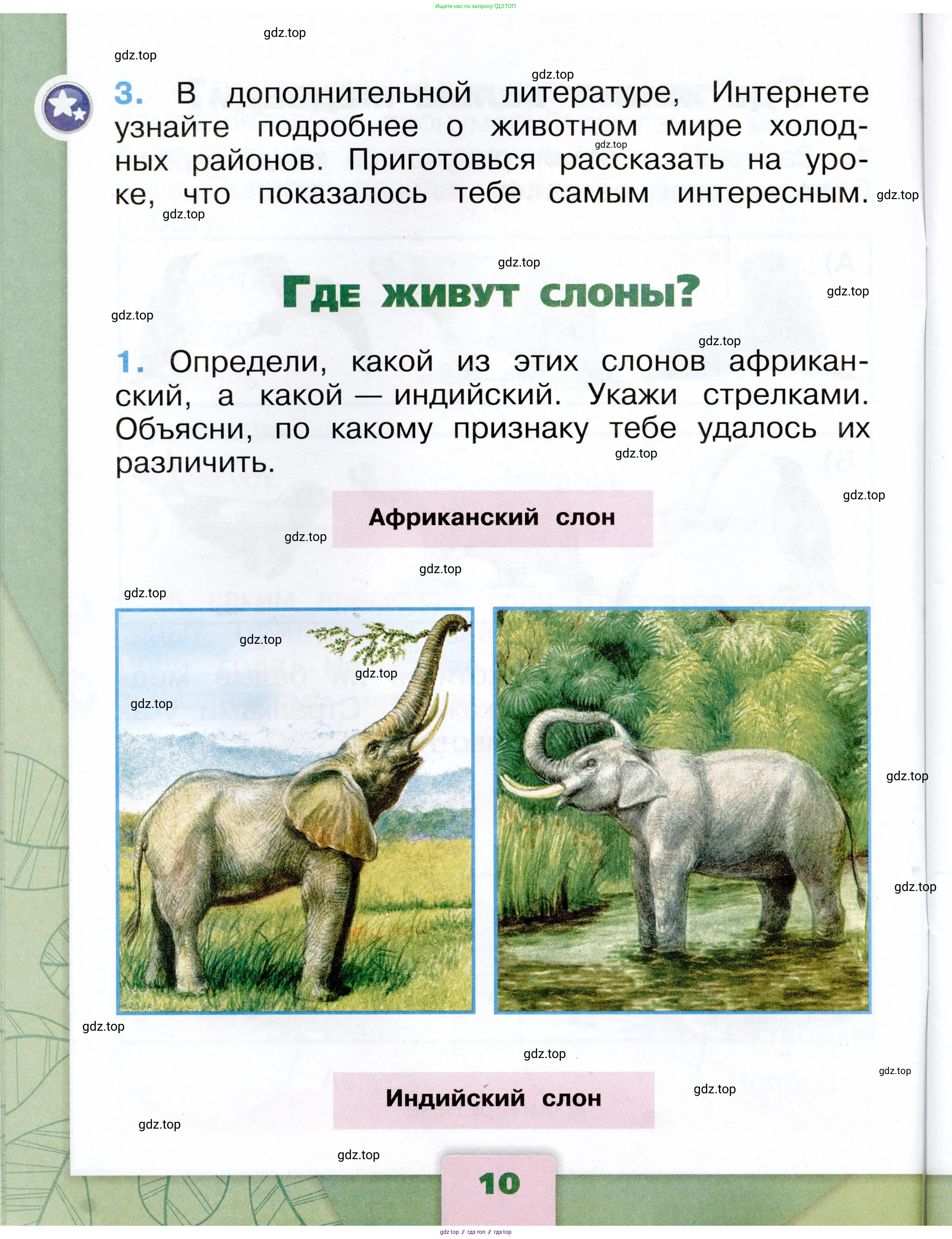 Окружающий мир, 1 класс рабочая тетрадь, автор: Плешаков Андрей Анатольевич, издательство Просвещение, Москва, 2023, белого цвета, Часть 1, страница 10