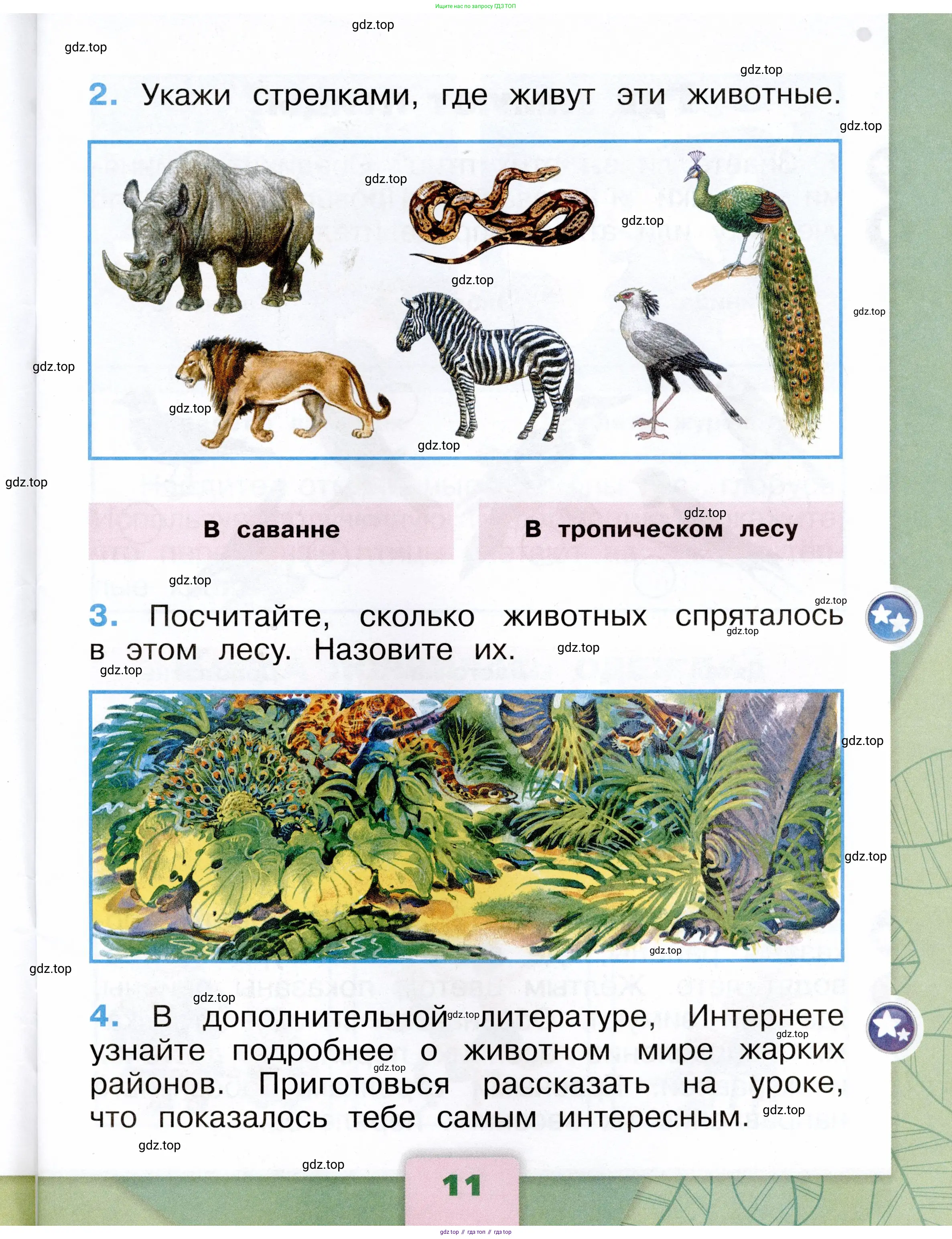 Окружающий мир, 1 класс рабочая тетрадь, автор: Плешаков Андрей Анатольевич, издательство Просвещение, Москва, 2023, белого цвета, страница 11