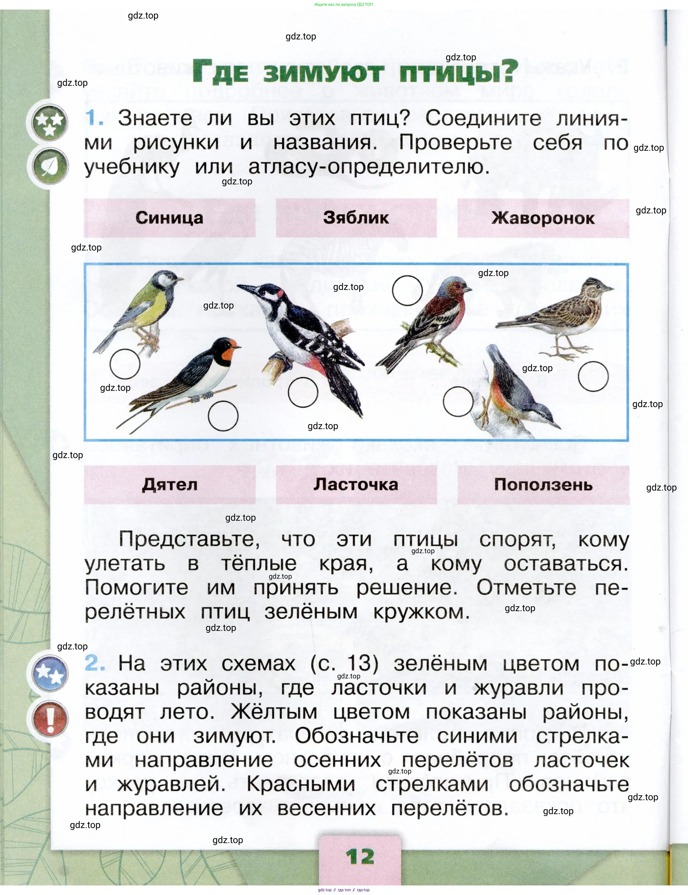 Окружающий мир, 1 класс рабочая тетрадь, автор: Плешаков Андрей Анатольевич, издательство Просвещение, Москва, 2023, белого цвета, Часть 1, страница 12