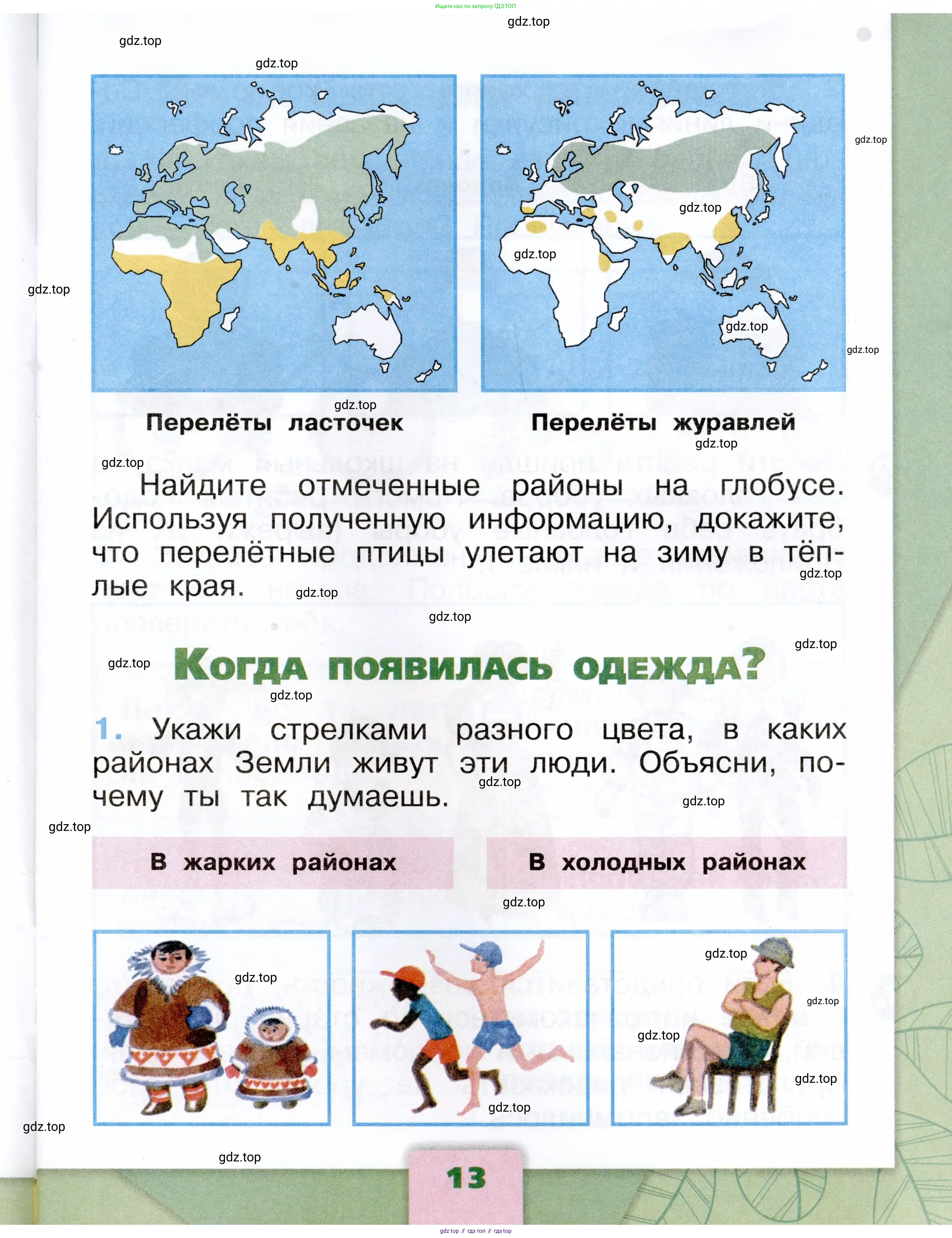 Окружающий мир, 1 класс рабочая тетрадь, автор: Плешаков Андрей Анатольевич, издательство Просвещение, Москва, 2023, белого цвета, Часть 1, страница 13