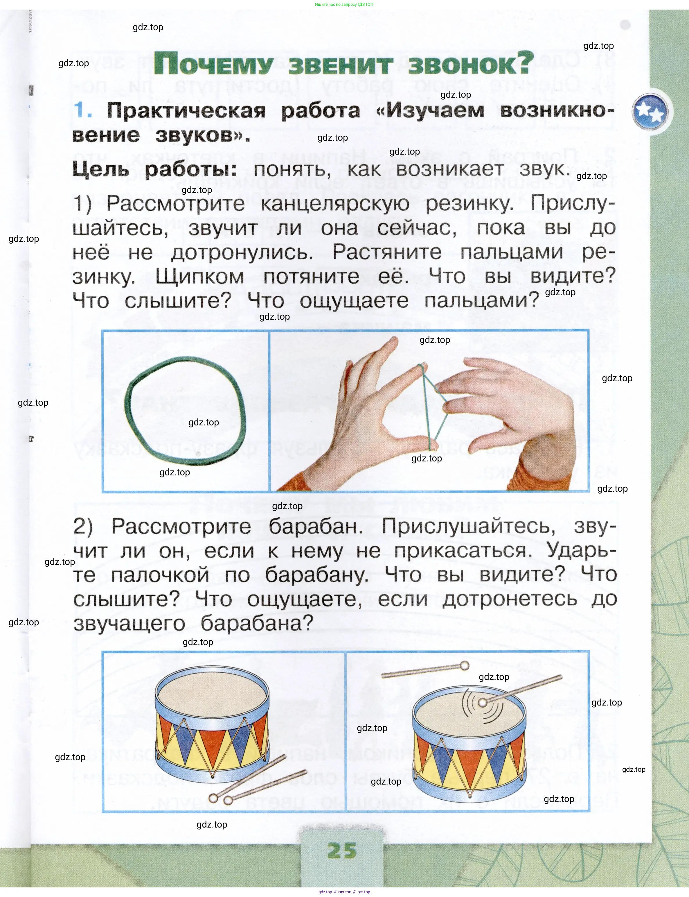 Окружающий мир, 1 класс рабочая тетрадь, автор: Плешаков Андрей Анатольевич, издательство Просвещение, Москва, 2023, белого цвета, Часть 1, страница 25