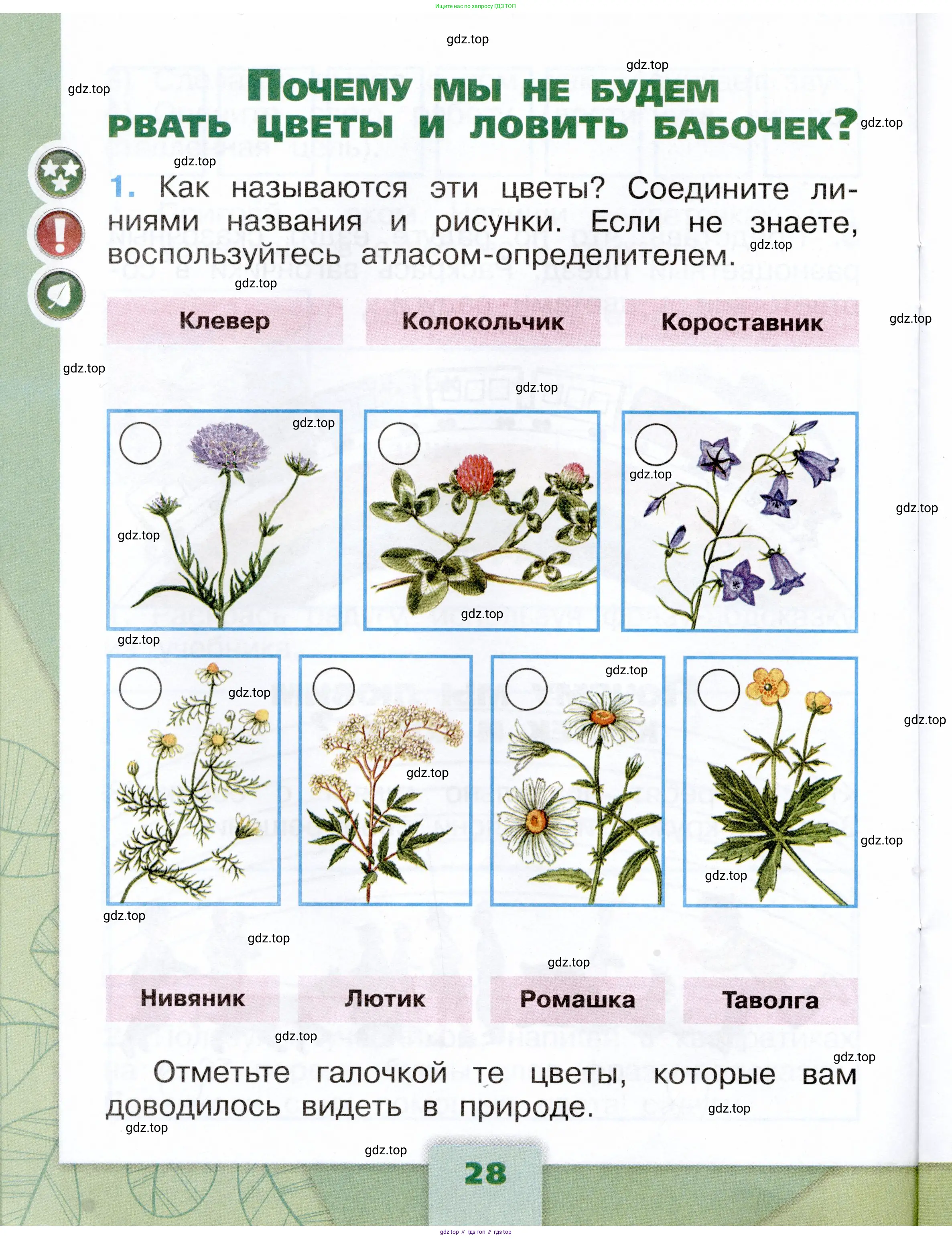 Окружающий мир, 1 класс рабочая тетрадь, автор: Плешаков Андрей Анатольевич, издательство Просвещение, Москва, 2023, белого цвета, Часть 2, страница 28