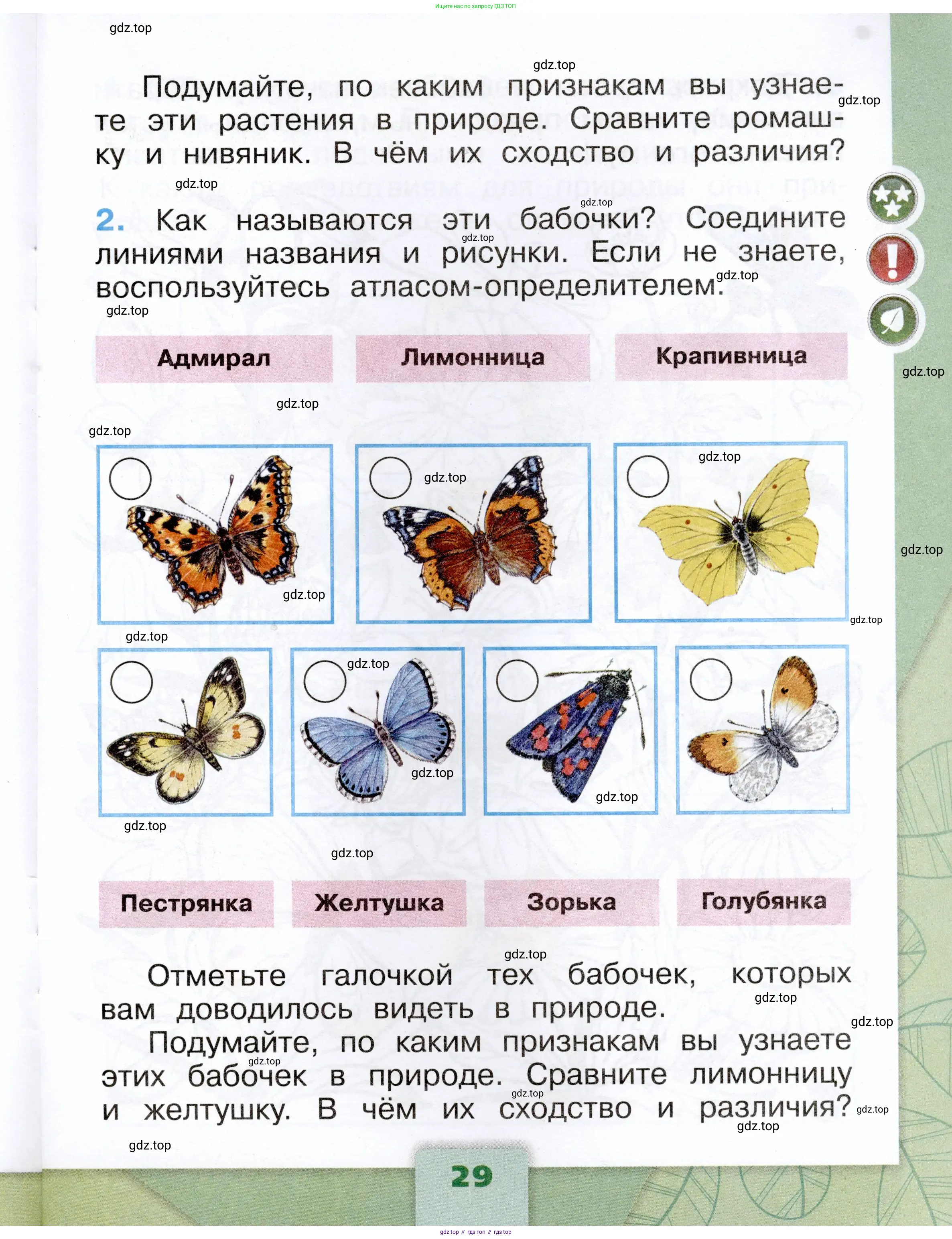 Окружающий мир, 1 класс рабочая тетрадь, автор: Плешаков Андрей Анатольевич, издательство Просвещение, Москва, 2023, белого цвета, Часть 1, страница 29