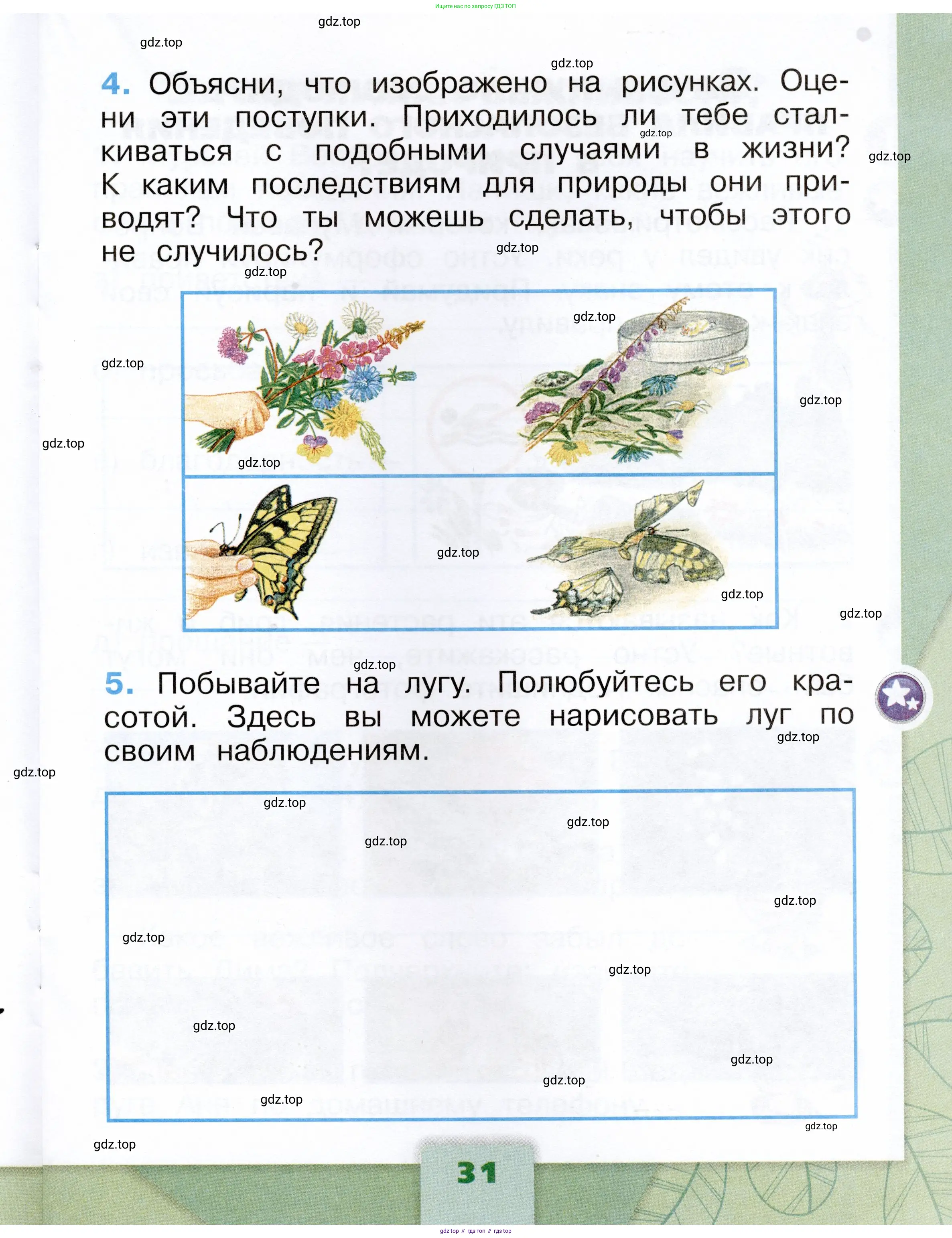 Окружающий мир, 1 класс рабочая тетрадь, автор: Плешаков Андрей Анатольевич, издательство Просвещение, Москва, 2023, белого цвета, Часть 1, страница 31