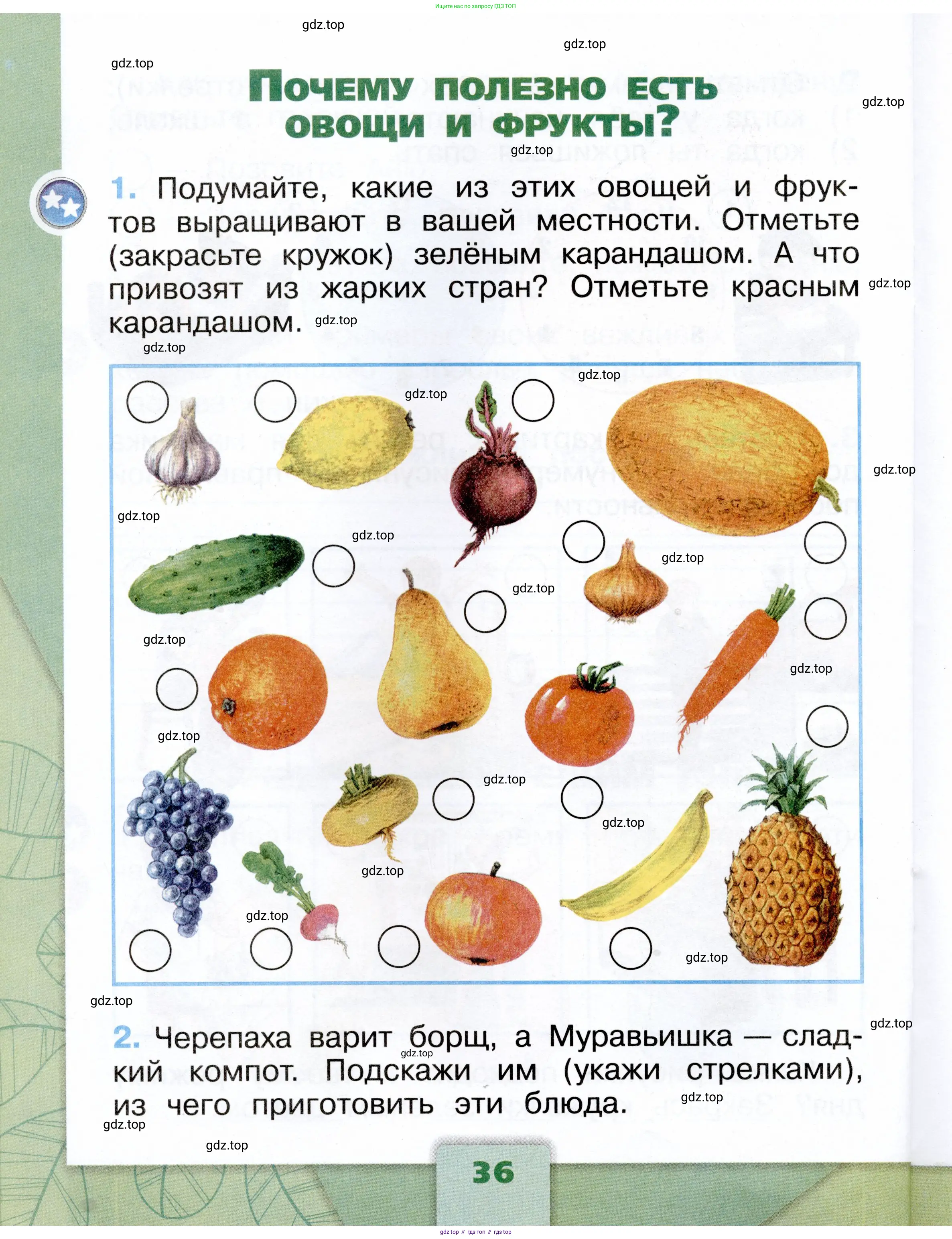 Окружающий мир, 1 класс рабочая тетрадь, автор: Плешаков Андрей Анатольевич, издательство Просвещение, Москва, 2023, белого цвета, Часть 1, страница 36