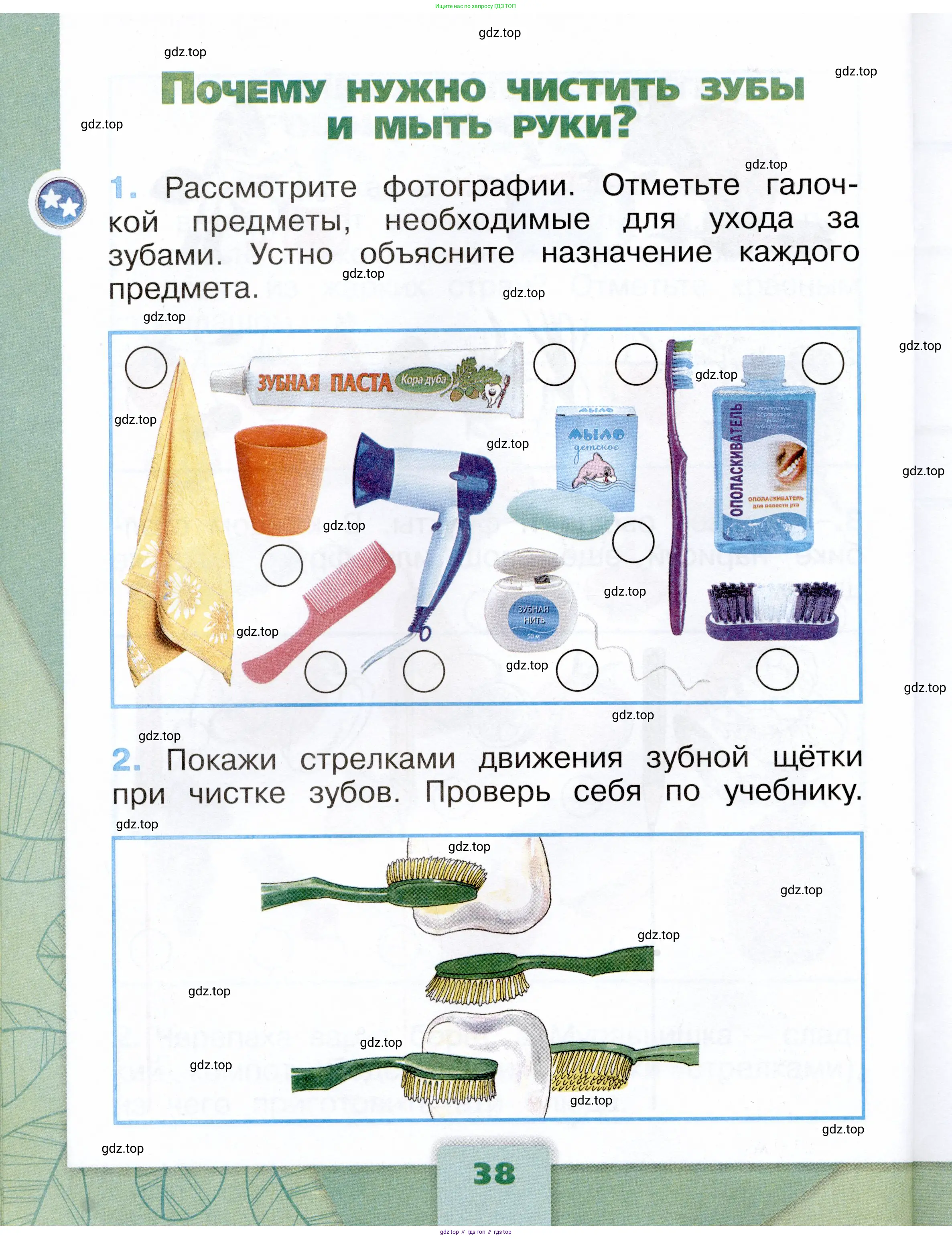 Окружающий мир, 1 класс рабочая тетрадь, автор: Плешаков Андрей Анатольевич, издательство Просвещение, Москва, 2023, белого цвета, Часть 1, страница 38