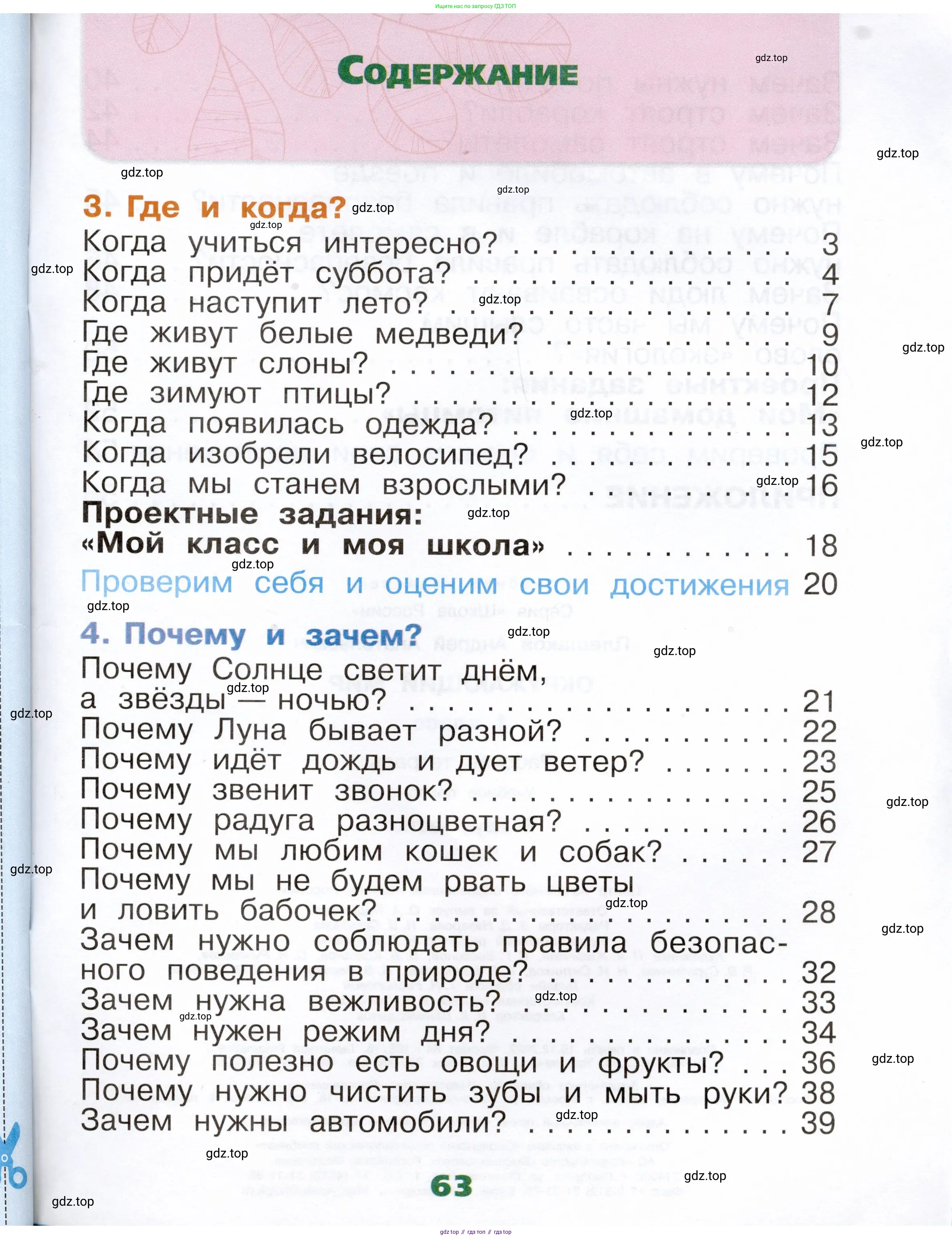 Окружающий мир, 1 класс рабочая тетрадь, автор: Плешаков Андрей Анатольевич, издательство Просвещение, Москва, 2023, белого цвета, страница 63