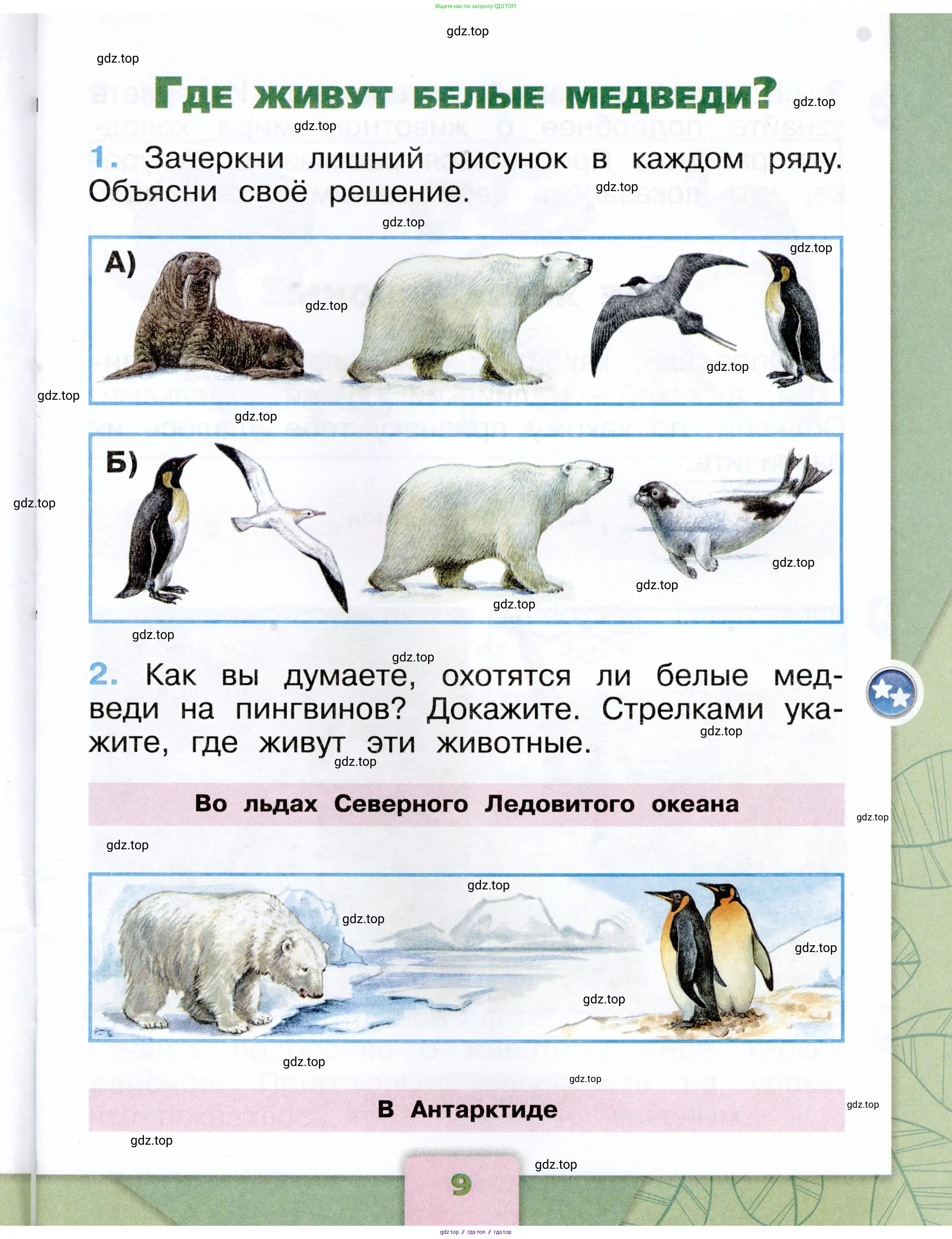 Окружающий мир, 1 класс рабочая тетрадь, автор: Плешаков Андрей Анатольевич, издательство Просвещение, Москва, 2023, белого цвета, страница 9