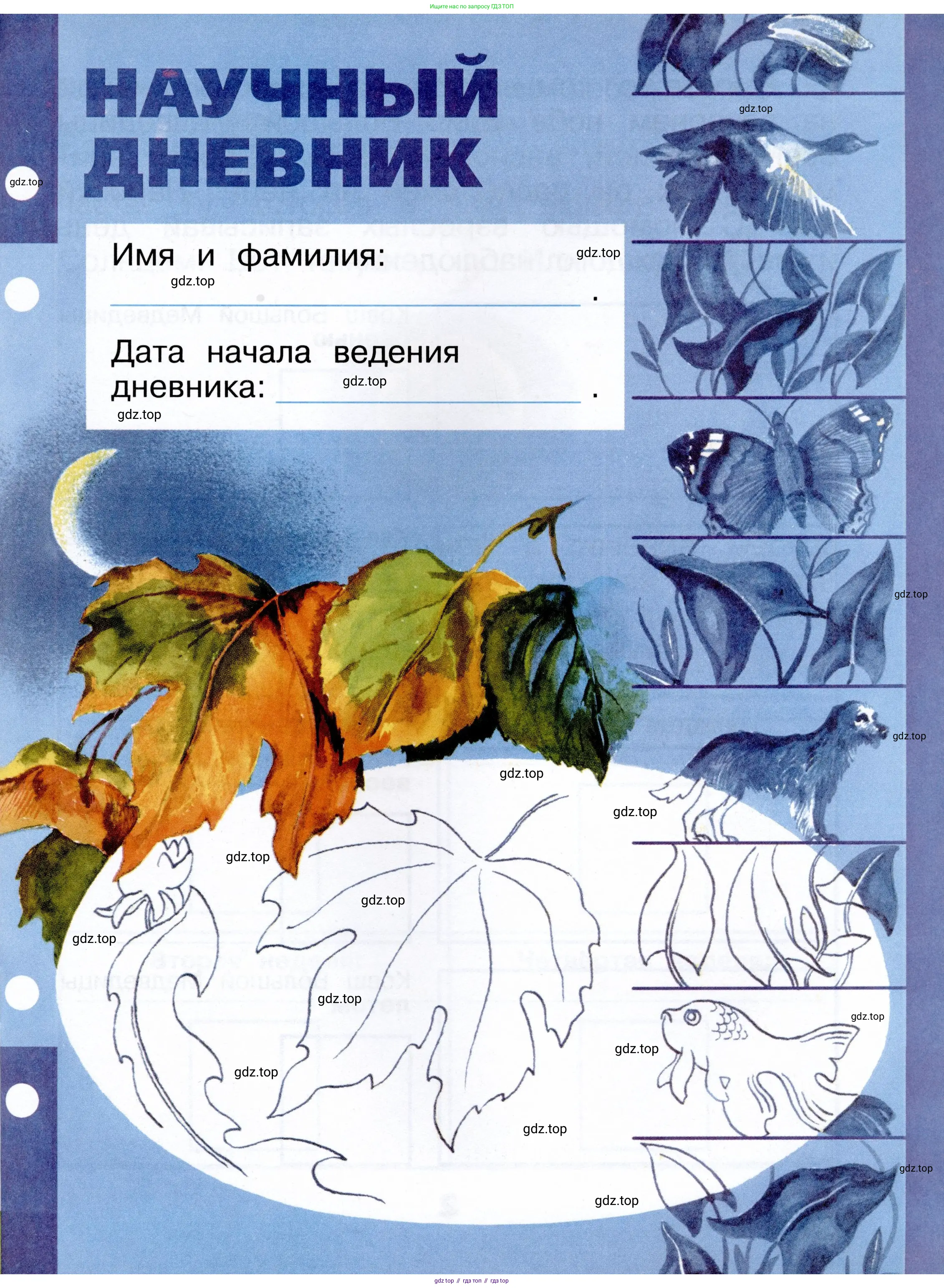Окружающий мир, 1 класс рабочая тетрадь, автор: Плешаков Андрей Анатольевич, издательство Просвещение, Москва, 2023, белого цвета, страница 1