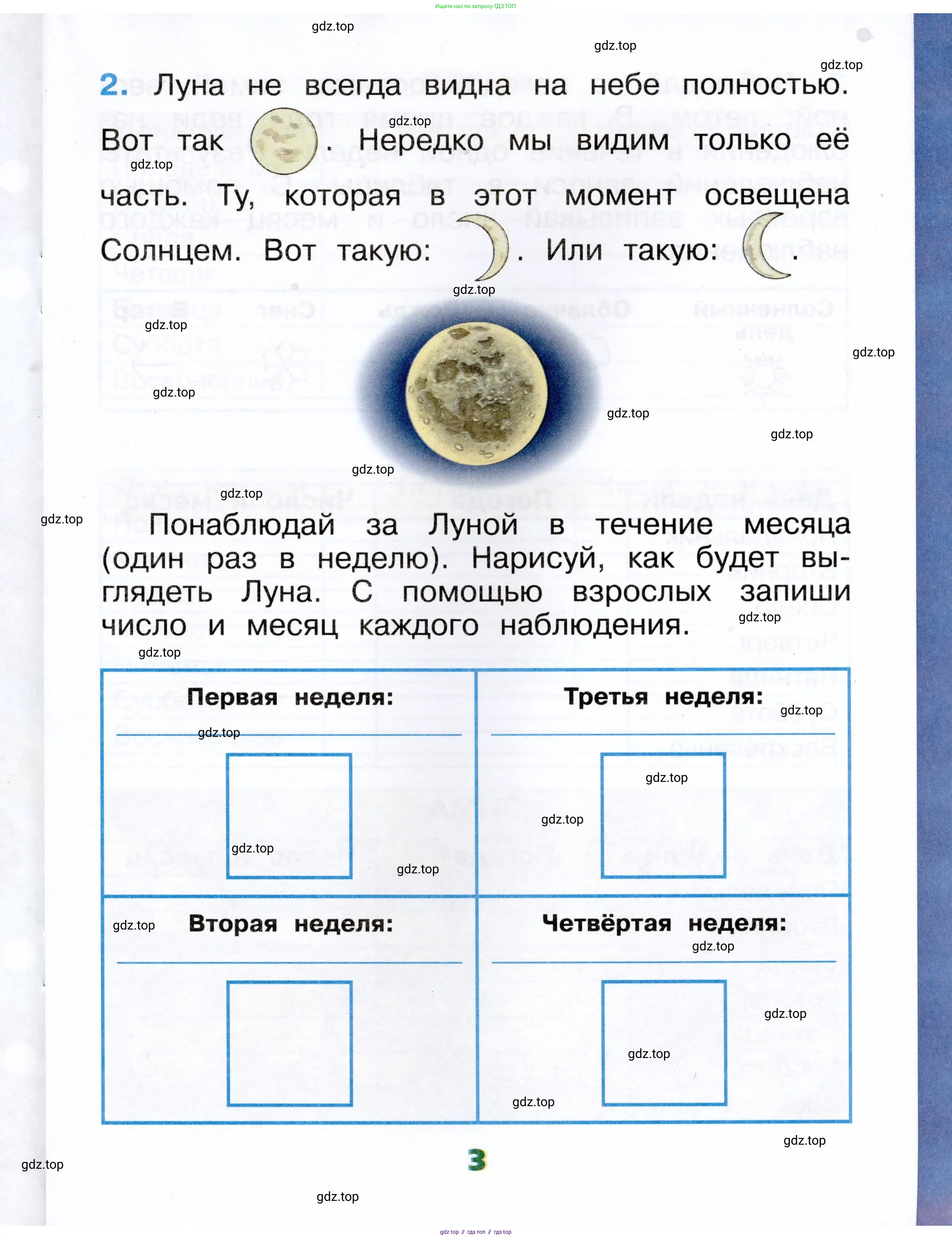 Окружающий мир, 1 класс рабочая тетрадь, автор: Плешаков Андрей Анатольевич, издательство Просвещение, Москва, 2023, белого цвета, Часть 1, страница 3