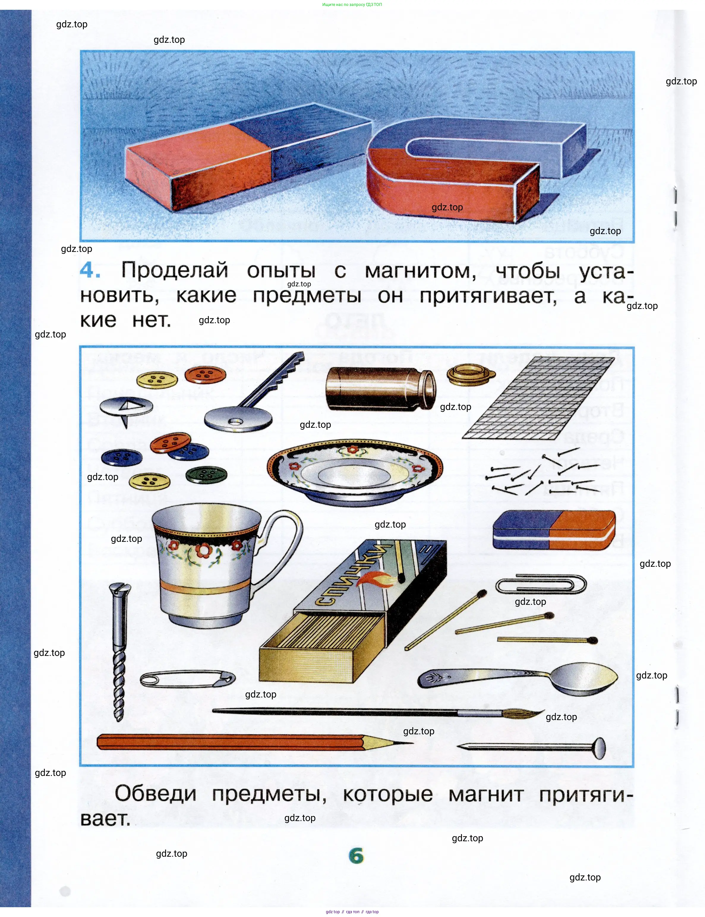 Окружающий мир, 1 класс рабочая тетрадь, автор: Плешаков Андрей Анатольевич, издательство Просвещение, Москва, 2023, белого цвета, страница 6