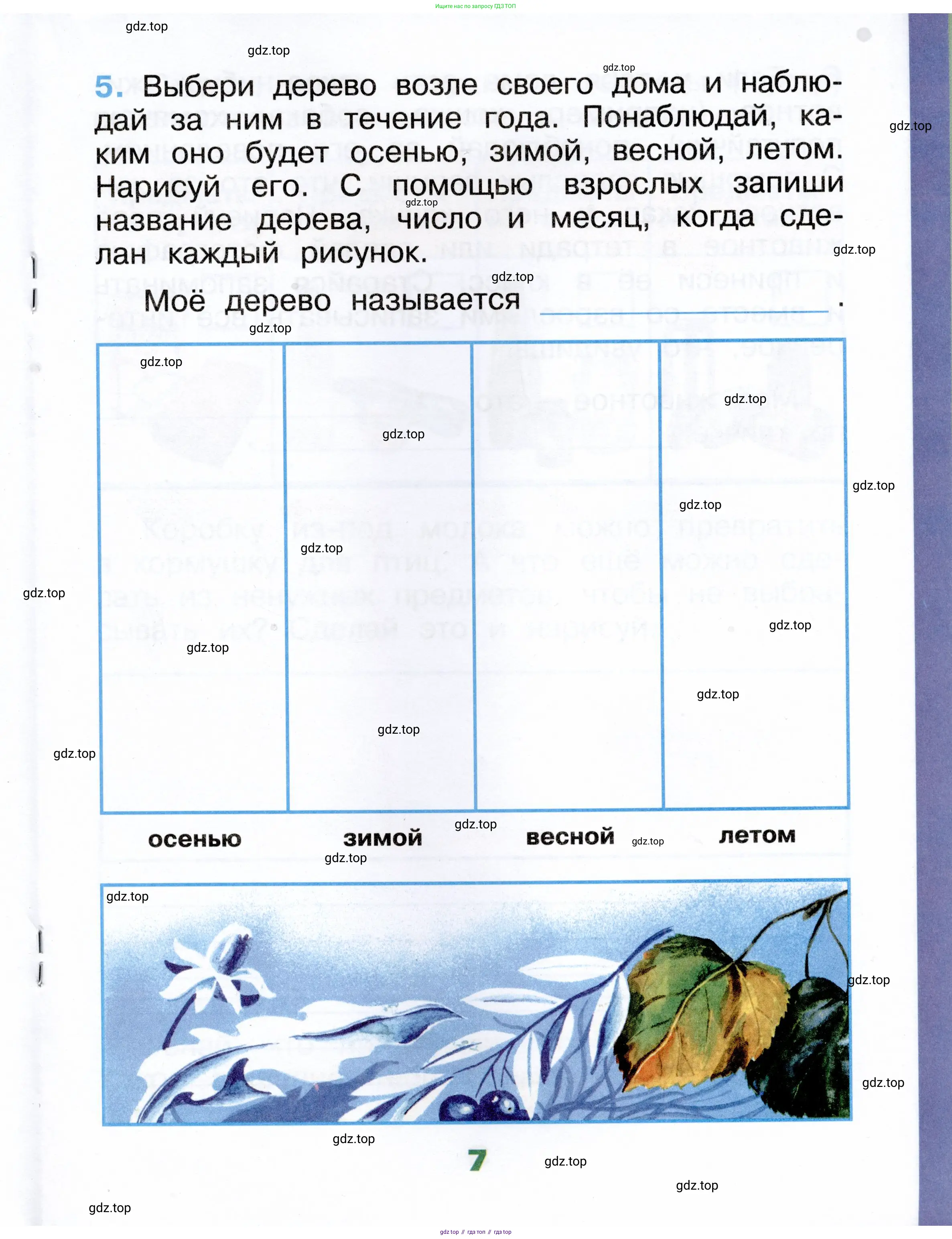 Окружающий мир, 1 класс рабочая тетрадь, автор: Плешаков Андрей Анатольевич, издательство Просвещение, Москва, 2023, белого цвета, Часть 1, страница 7