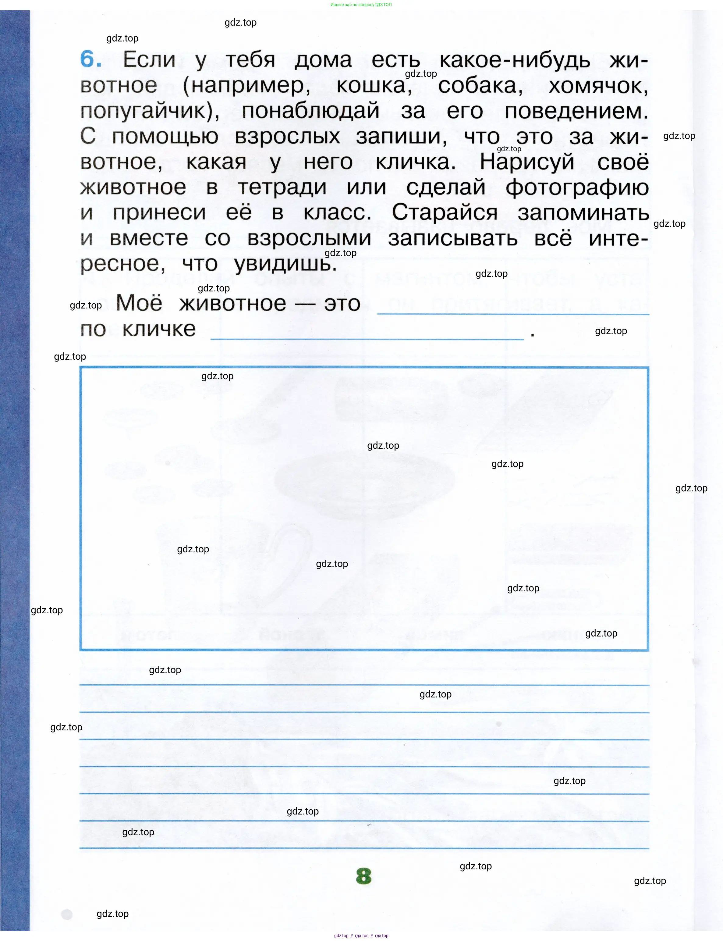 Окружающий мир, 1 класс рабочая тетрадь, автор: Плешаков Андрей Анатольевич, издательство Просвещение, Москва, 2023, белого цвета, Часть 1, страница 8