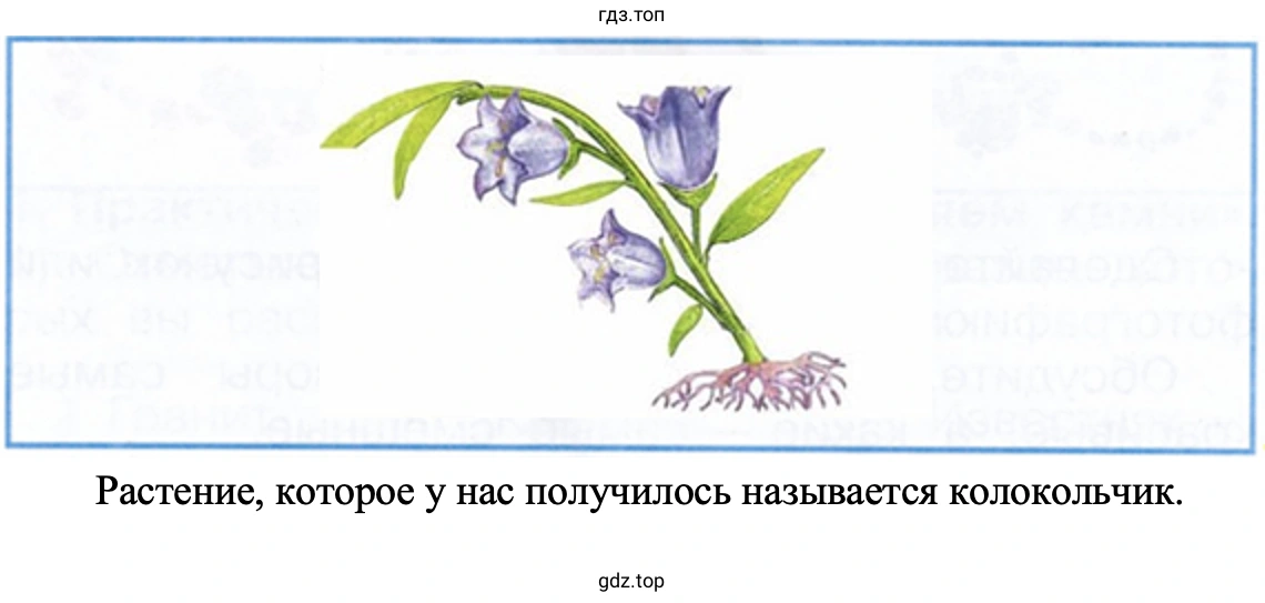 Собери растение из частей, данных в Приложении