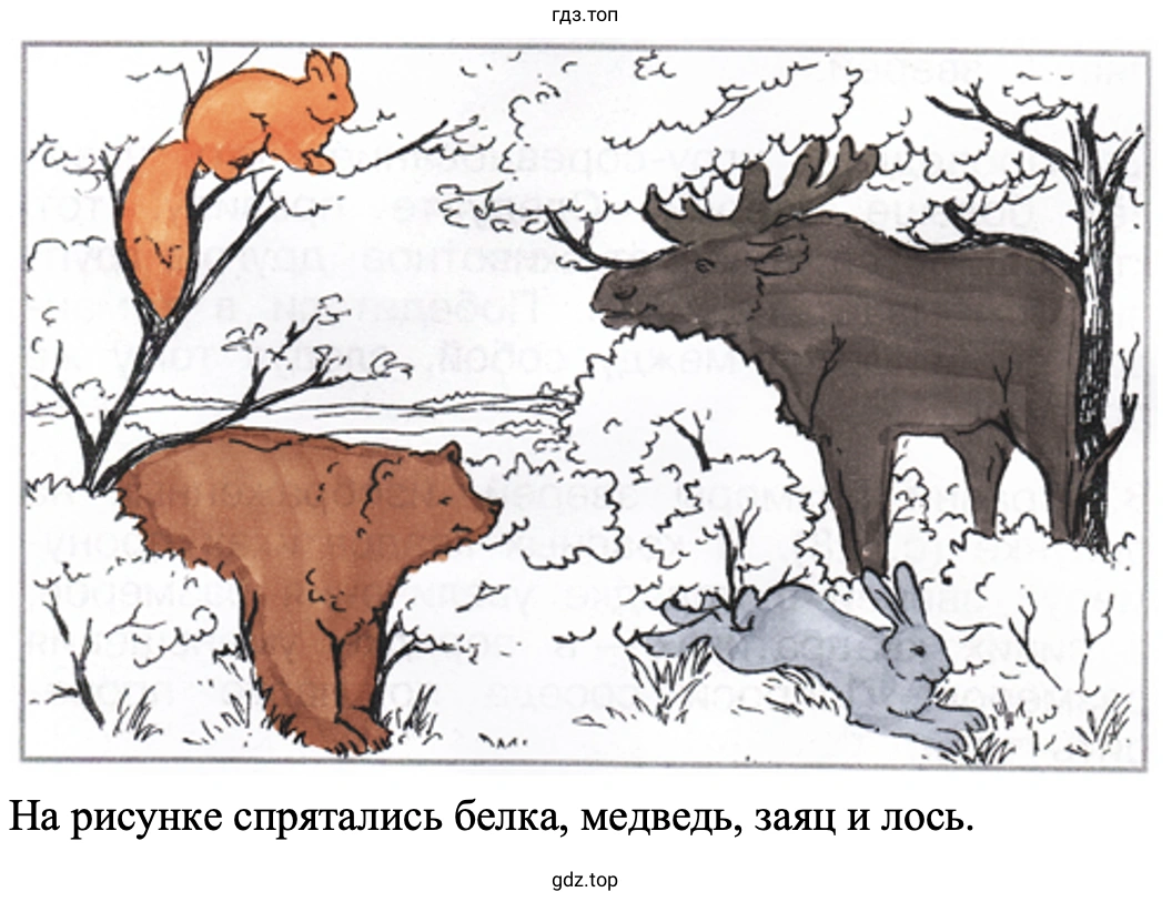 На рисунке спрятались белка, медведь, заяц и лось.