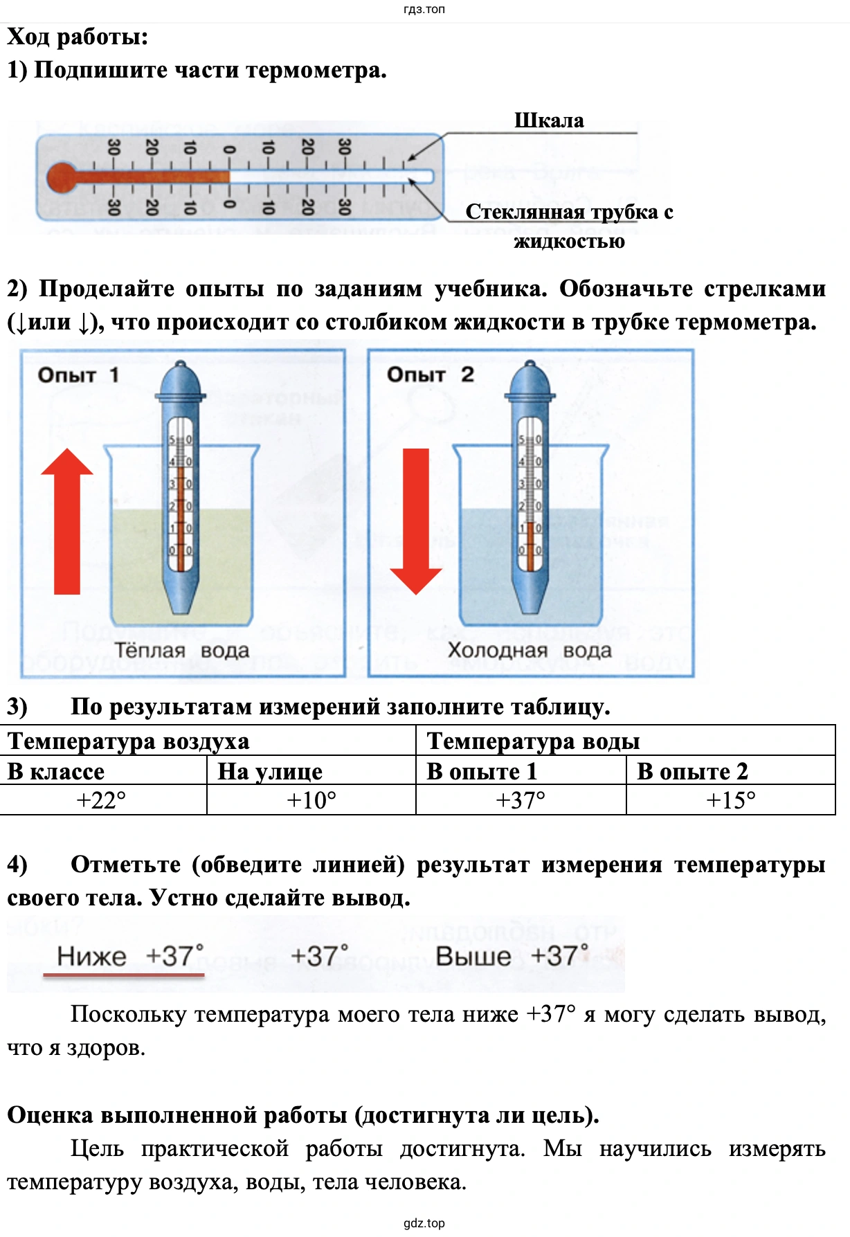 Ход работы: 1) Подпишите части термометра.
