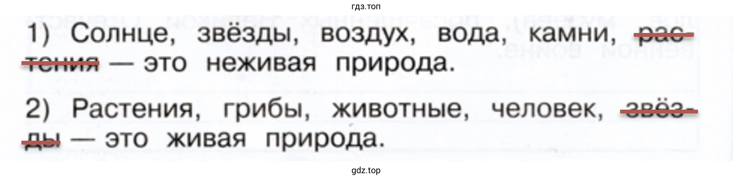 Зачеркни лишнее слово в каждом утверждении