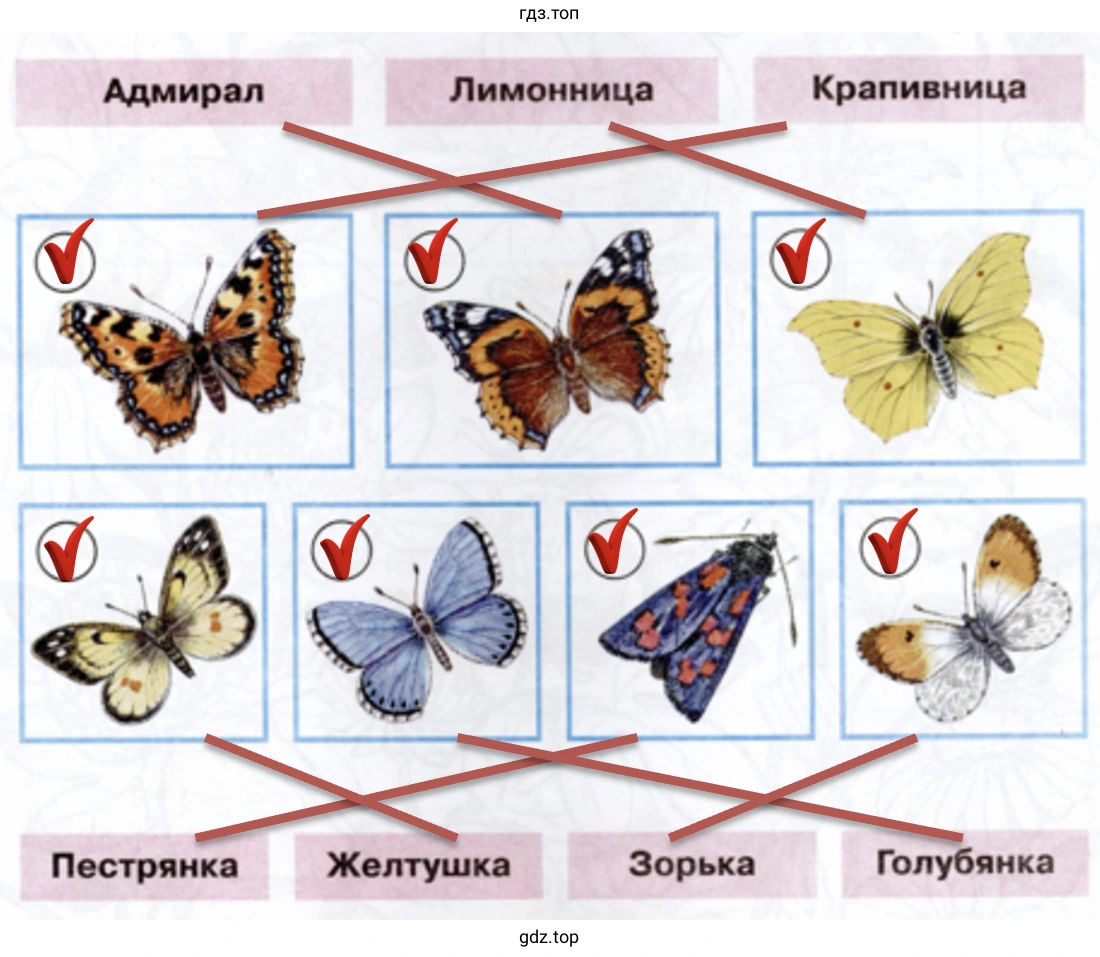Отметьте галочкой тех бабочек, которых вам доводилось видеть в природе
