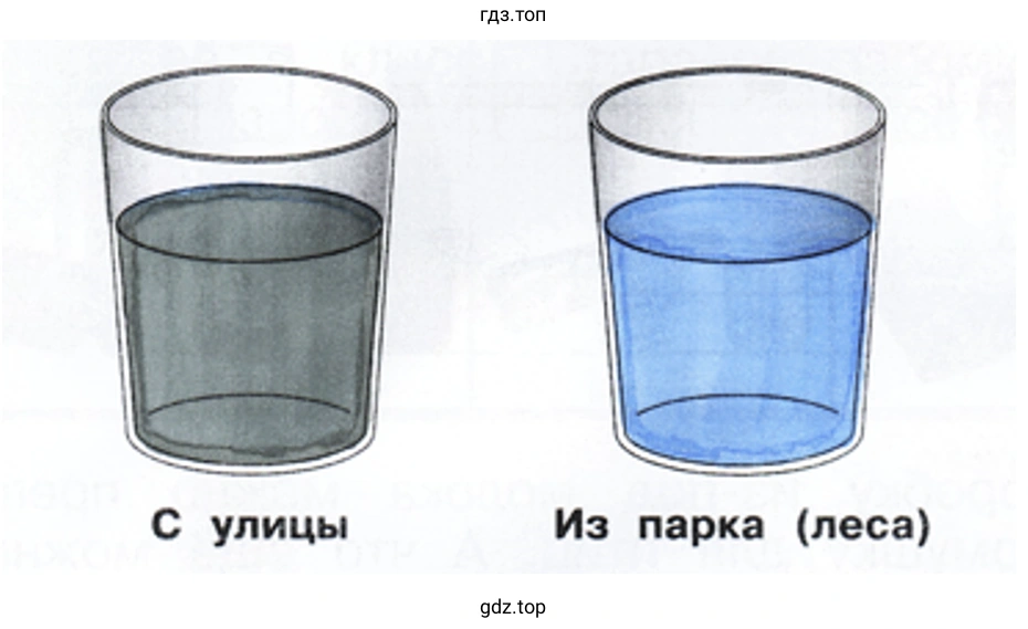 С улицы Из парка (леса)