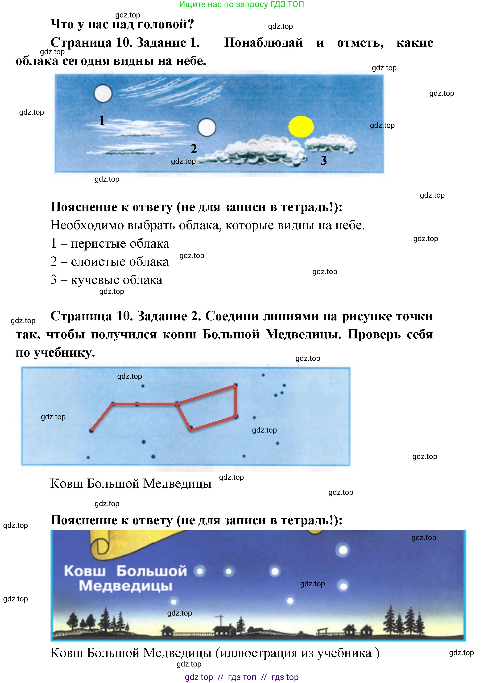 Окружающий мир, 1 класс рабочая тетрадь, автор: Плешаков Андрей Анатольевич, издательство Просвещение, Москва, 2023, белого цвета, Часть 1, страница 10, Решение 2