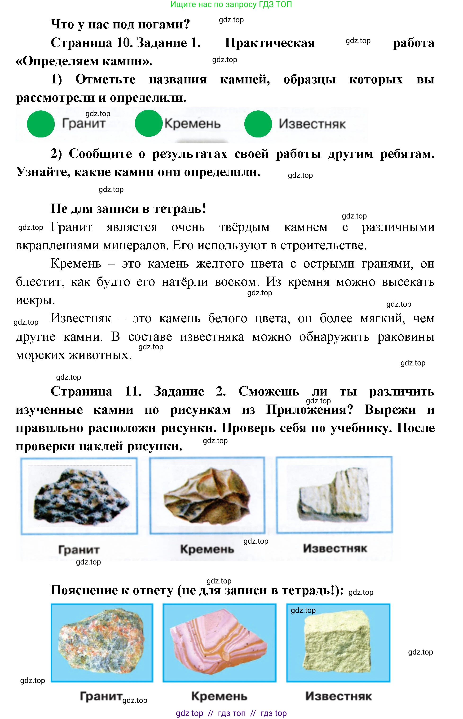 Окружающий мир, 1 класс рабочая тетрадь, автор: Плешаков Андрей Анатольевич, издательство Просвещение, Москва, 2023, белого цвета, Часть 1, страница 10, Решение 2