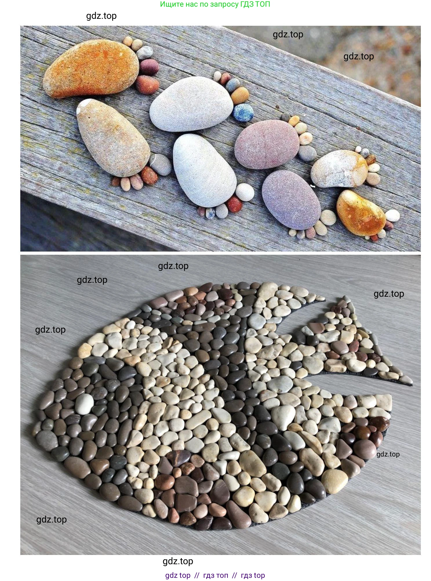 Окружающий мир, 1 класс рабочая тетрадь, автор: Плешаков Андрей Анатольевич, издательство Просвещение, Москва, 2023, белого цвета, Часть 1, страница 10, Решение 2 (продолжение 3)