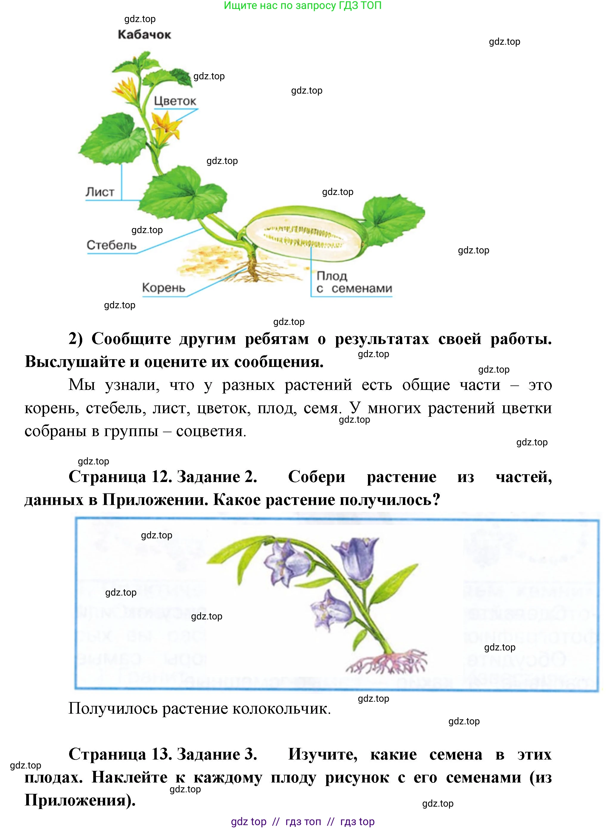 Окружающий мир, 1 класс рабочая тетрадь, автор: Плешаков Андрей Анатольевич, издательство Просвещение, Москва, 2023, белого цвета, Часть 1, страница 12, Решение 2 (продолжение 2)