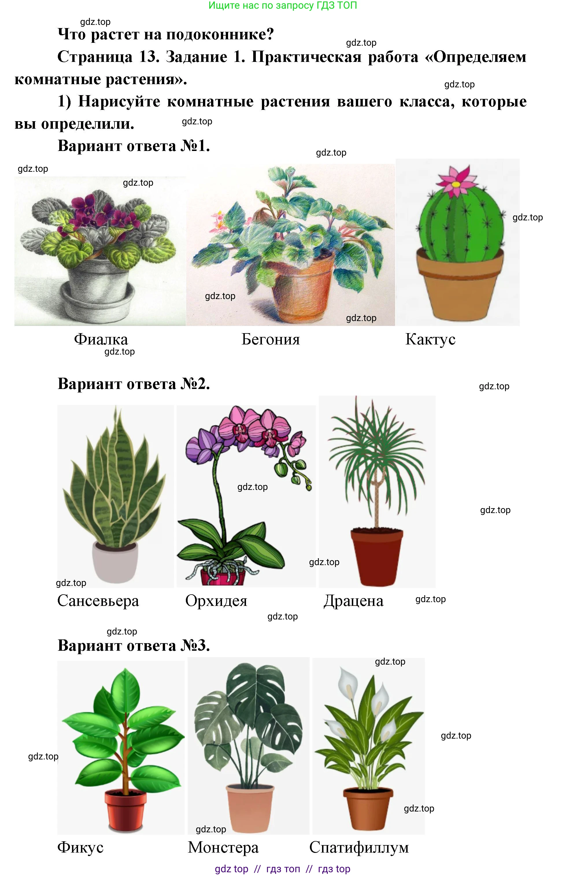 Окружающий мир, 1 класс рабочая тетрадь, автор: Плешаков Андрей Анатольевич, издательство Просвещение, Москва, 2023, белого цвета, Часть 1, страница 13, Решение 2