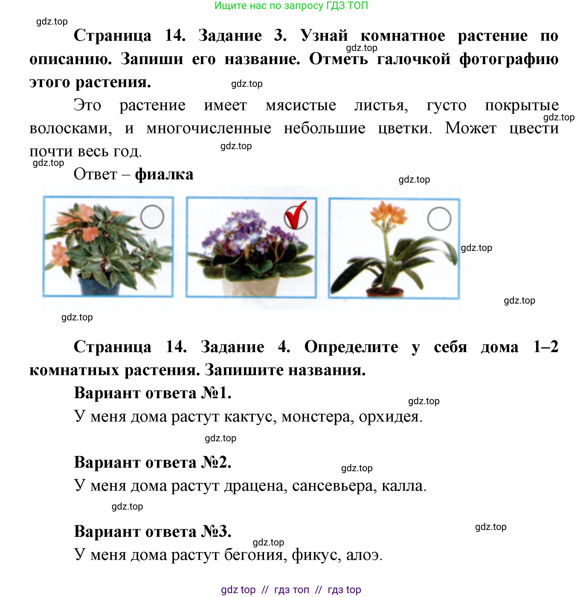 Окружающий мир, 1 класс рабочая тетрадь, автор: Плешаков Андрей Анатольевич, издательство Просвещение, Москва, 2023, белого цвета, Часть 1, страница 13, Решение 2 (продолжение 3)