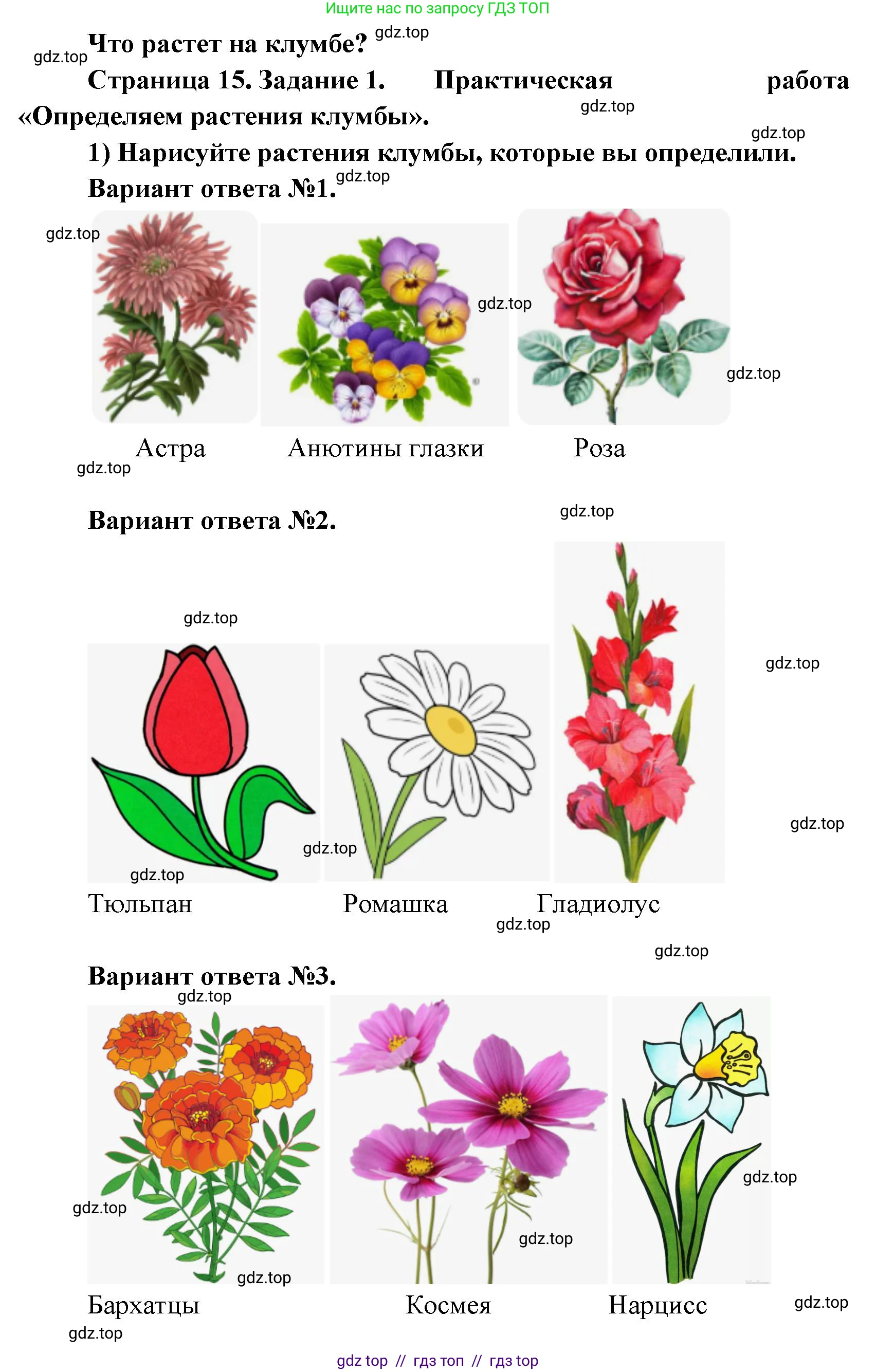 Окружающий мир, 1 класс рабочая тетрадь, автор: Плешаков Андрей Анатольевич, издательство Просвещение, Москва, 2023, белого цвета, Часть 1, страница 15, Решение 2