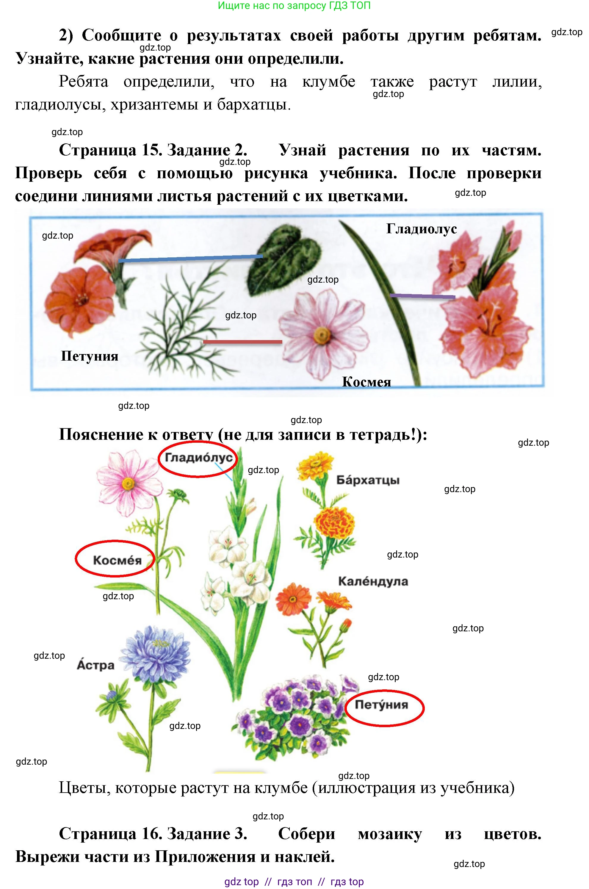 Окружающий мир, 1 класс рабочая тетрадь, автор: Плешаков Андрей Анатольевич, издательство Просвещение, Москва, 2023, белого цвета, Часть 1, страница 15, Решение 2 (продолжение 2)