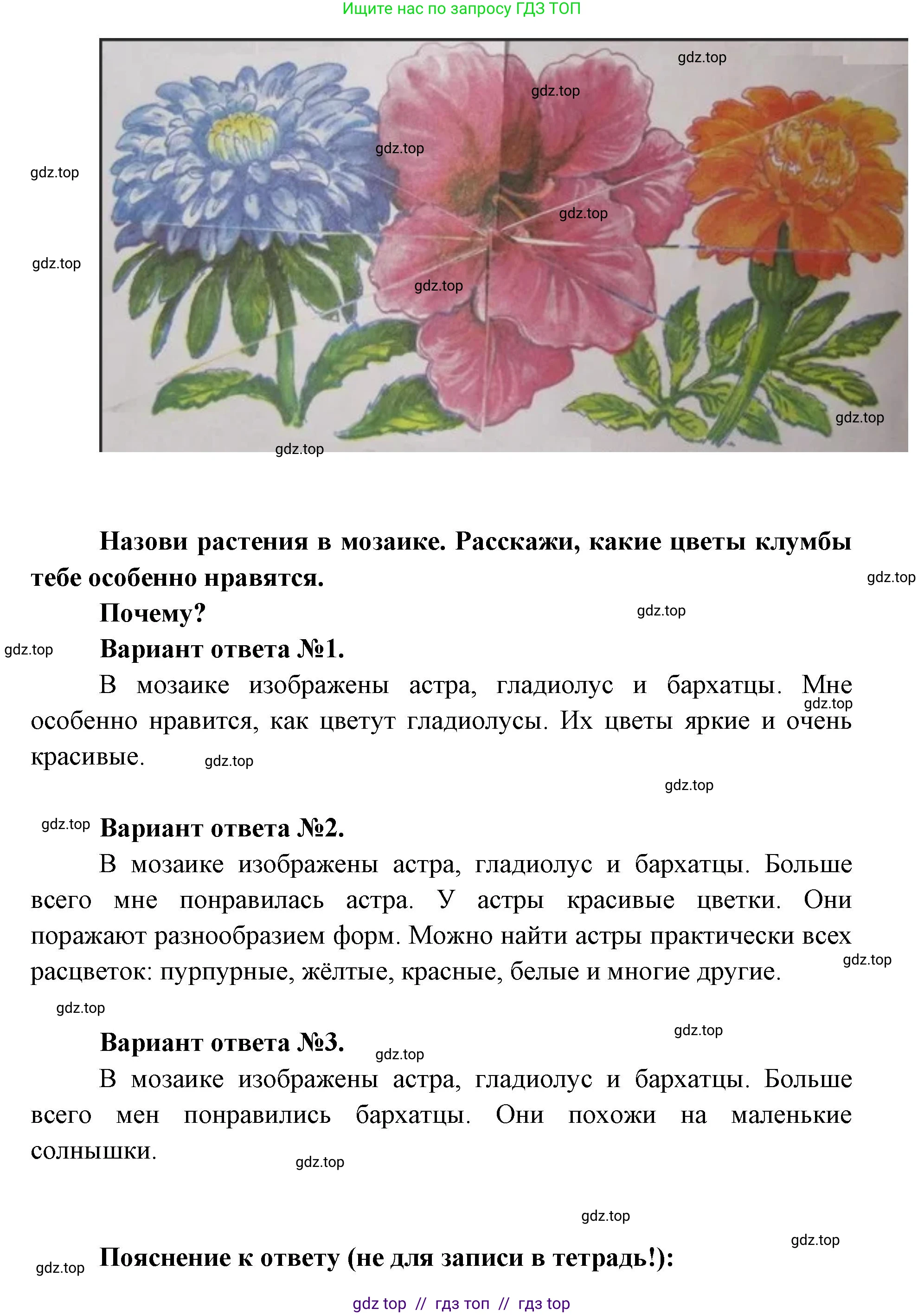 Окружающий мир, 1 класс рабочая тетрадь, автор: Плешаков Андрей Анатольевич, издательство Просвещение, Москва, 2023, белого цвета, Часть 1, страница 15, Решение 2 (продолжение 3)