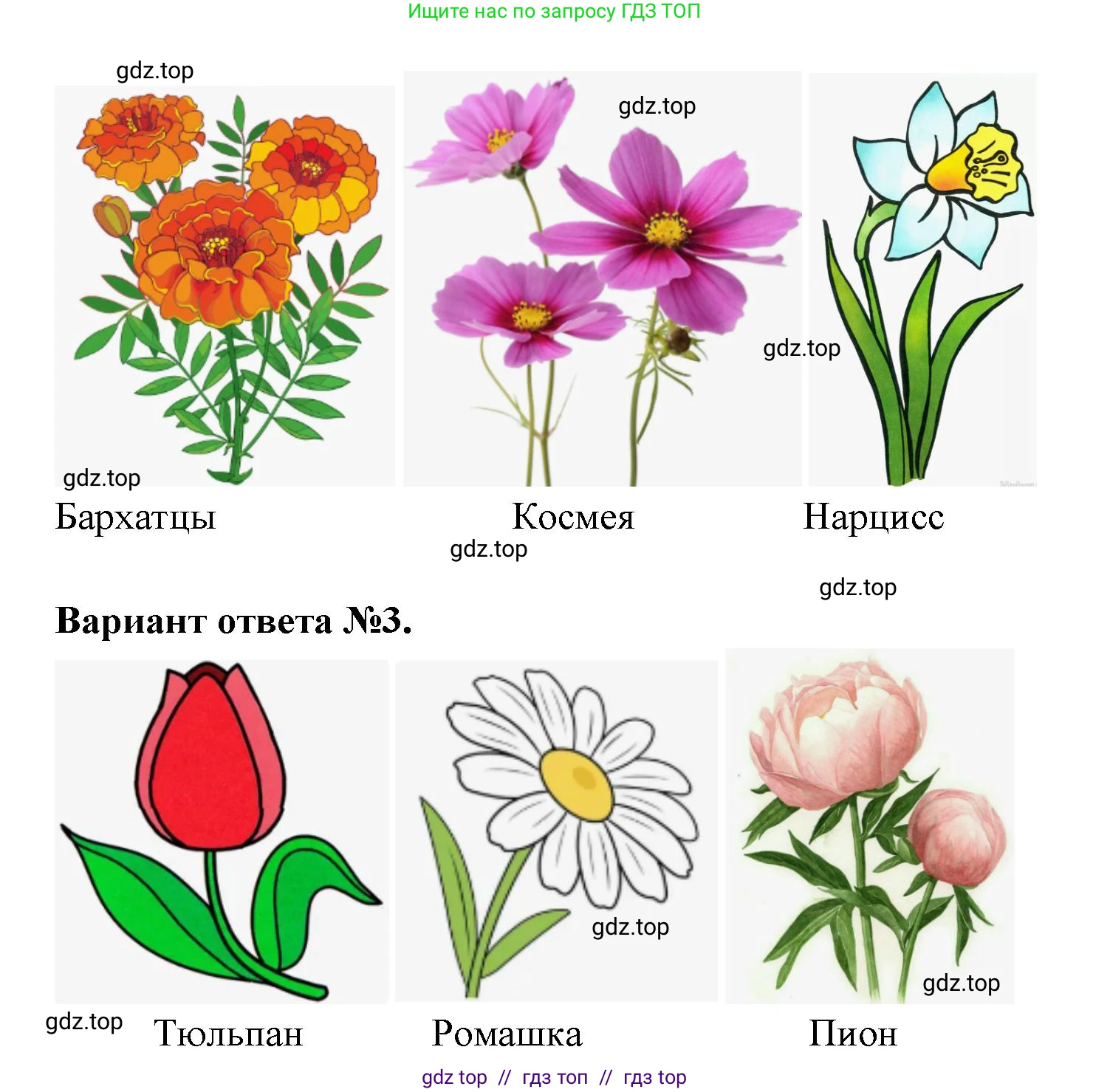 Окружающий мир, 1 класс рабочая тетрадь, автор: Плешаков Андрей Анатольевич, издательство Просвещение, Москва, 2023, белого цвета, Часть 1, страница 15, Решение 2 (продолжение 5)