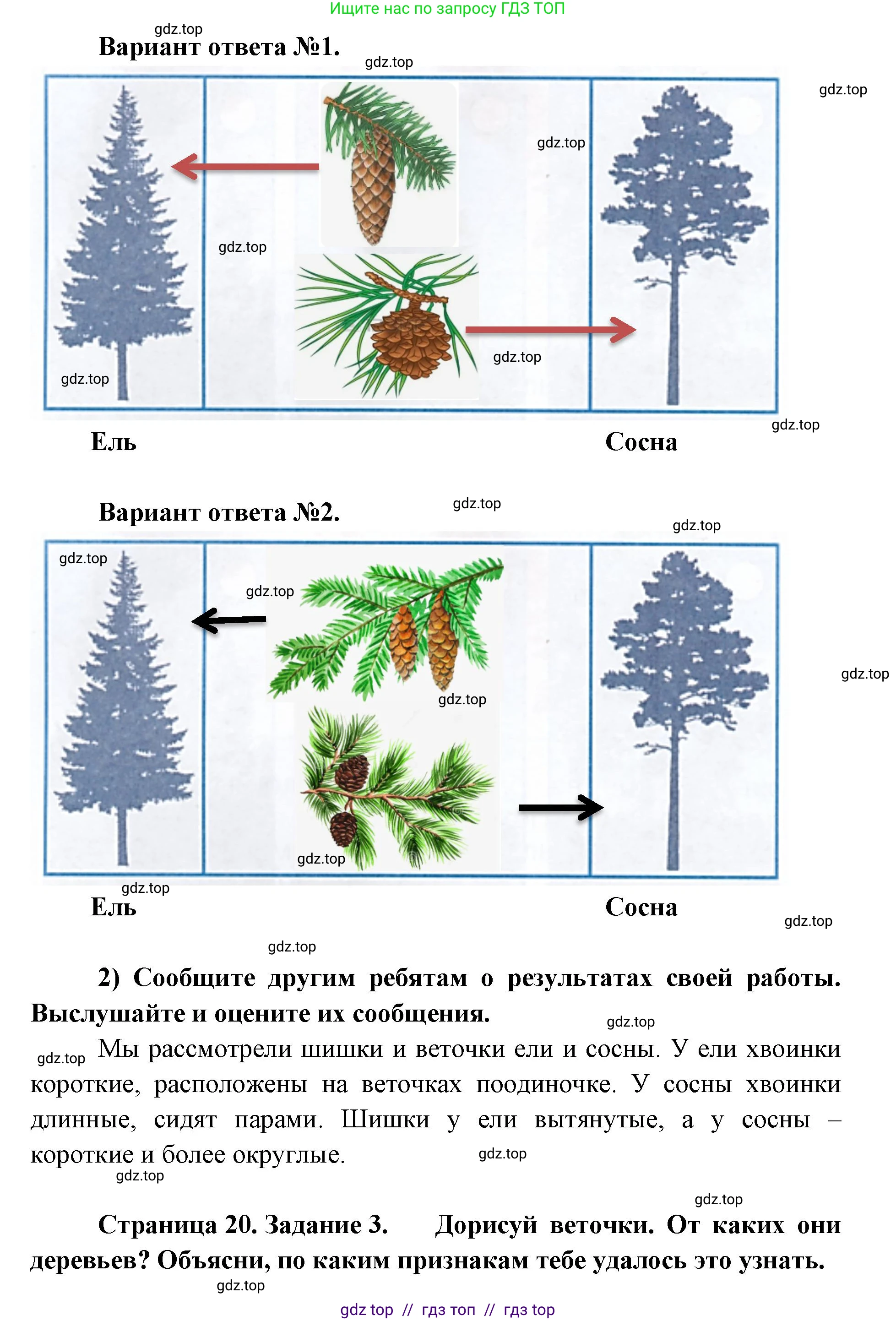 Окружающий мир, 1 класс рабочая тетрадь, автор: Плешаков Андрей Анатольевич, издательство Просвещение, Москва, 2023, белого цвета, Часть 1, страница 19, Решение 2 (продолжение 2)