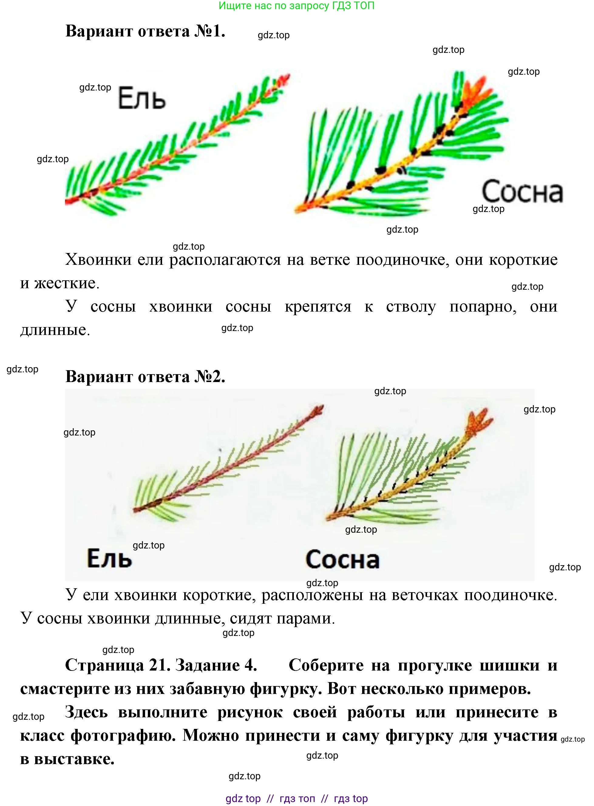 Окружающий мир, 1 класс рабочая тетрадь, автор: Плешаков Андрей Анатольевич, издательство Просвещение, Москва, 2023, белого цвета, Часть 1, страница 19, Решение 2 (продолжение 3)