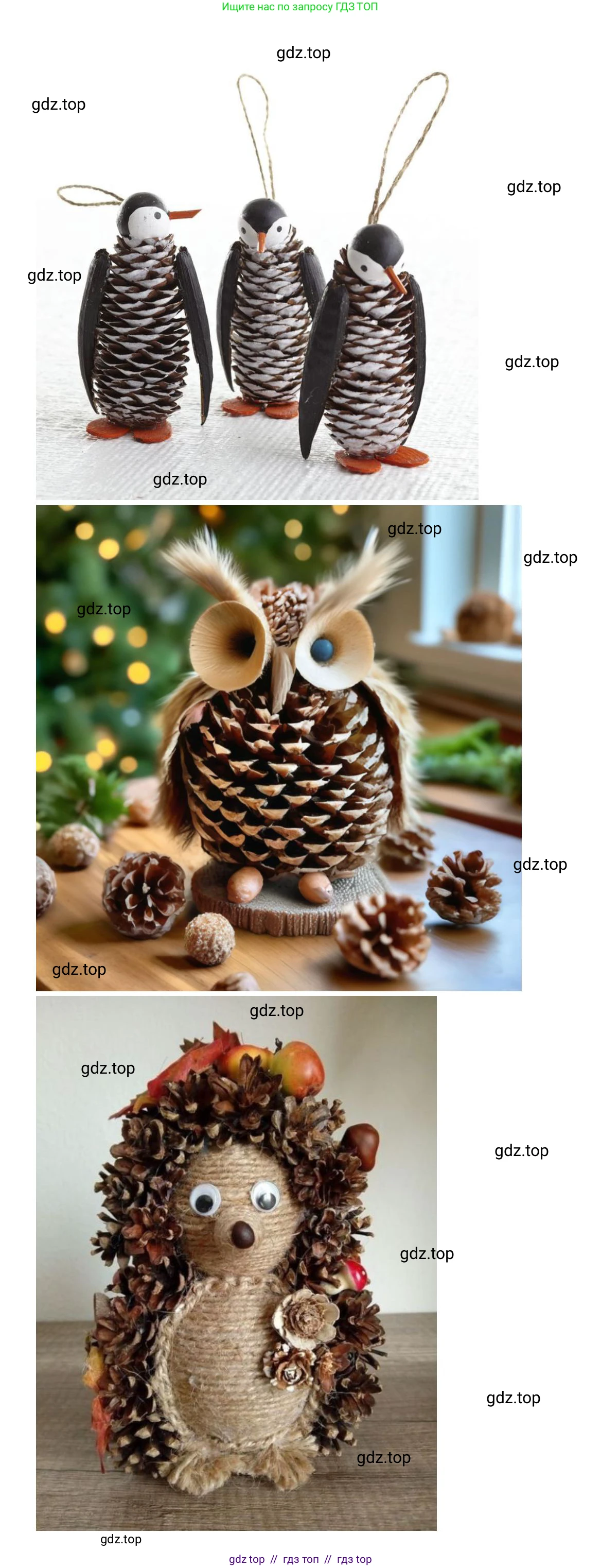 Окружающий мир, 1 класс рабочая тетрадь, автор: Плешаков Андрей Анатольевич, издательство Просвещение, Москва, 2023, белого цвета, Часть 1, страница 19, Решение 2 (продолжение 5)