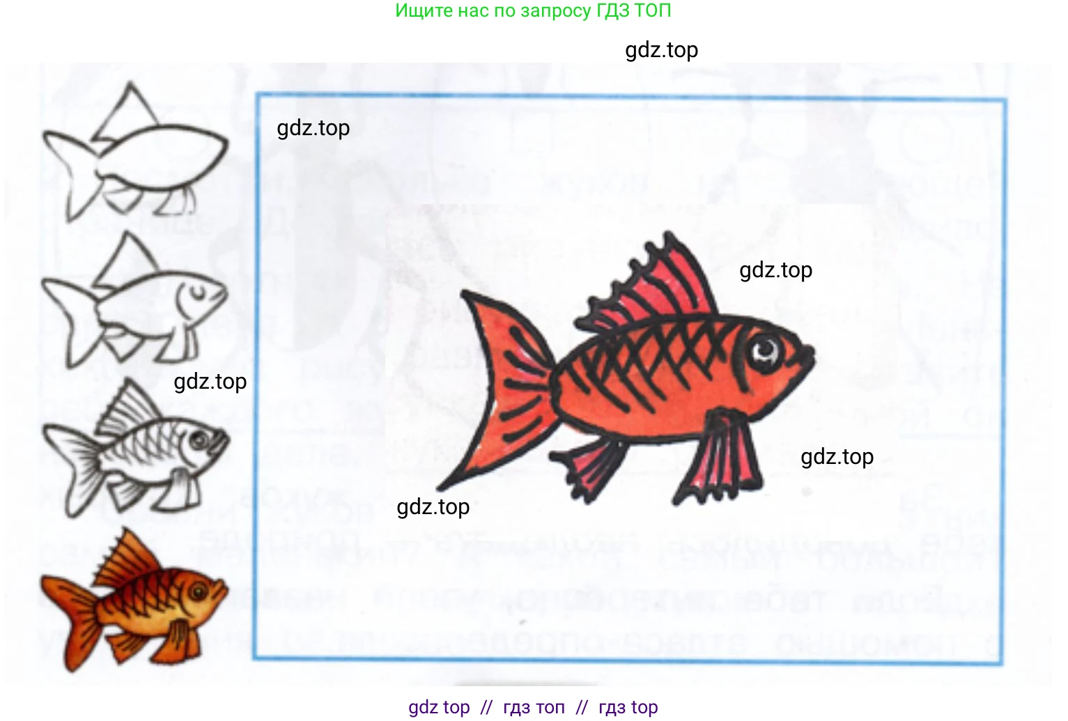 Окружающий мир, 1 класс рабочая тетрадь, автор: Плешаков Андрей Анатольевич, издательство Просвещение, Москва, 2023, белого цвета, Часть 1, страница 24, Решение 2 (продолжение 2)