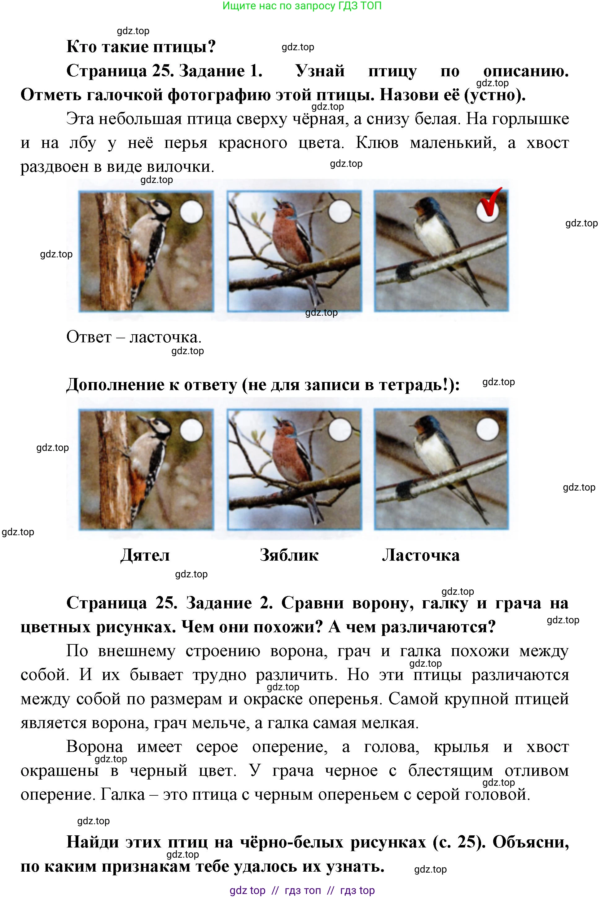 Окружающий мир, 1 класс рабочая тетрадь, автор: Плешаков Андрей Анатольевич, издательство Просвещение, Москва, 2023, белого цвета, Часть 1, страница 25, Решение 2