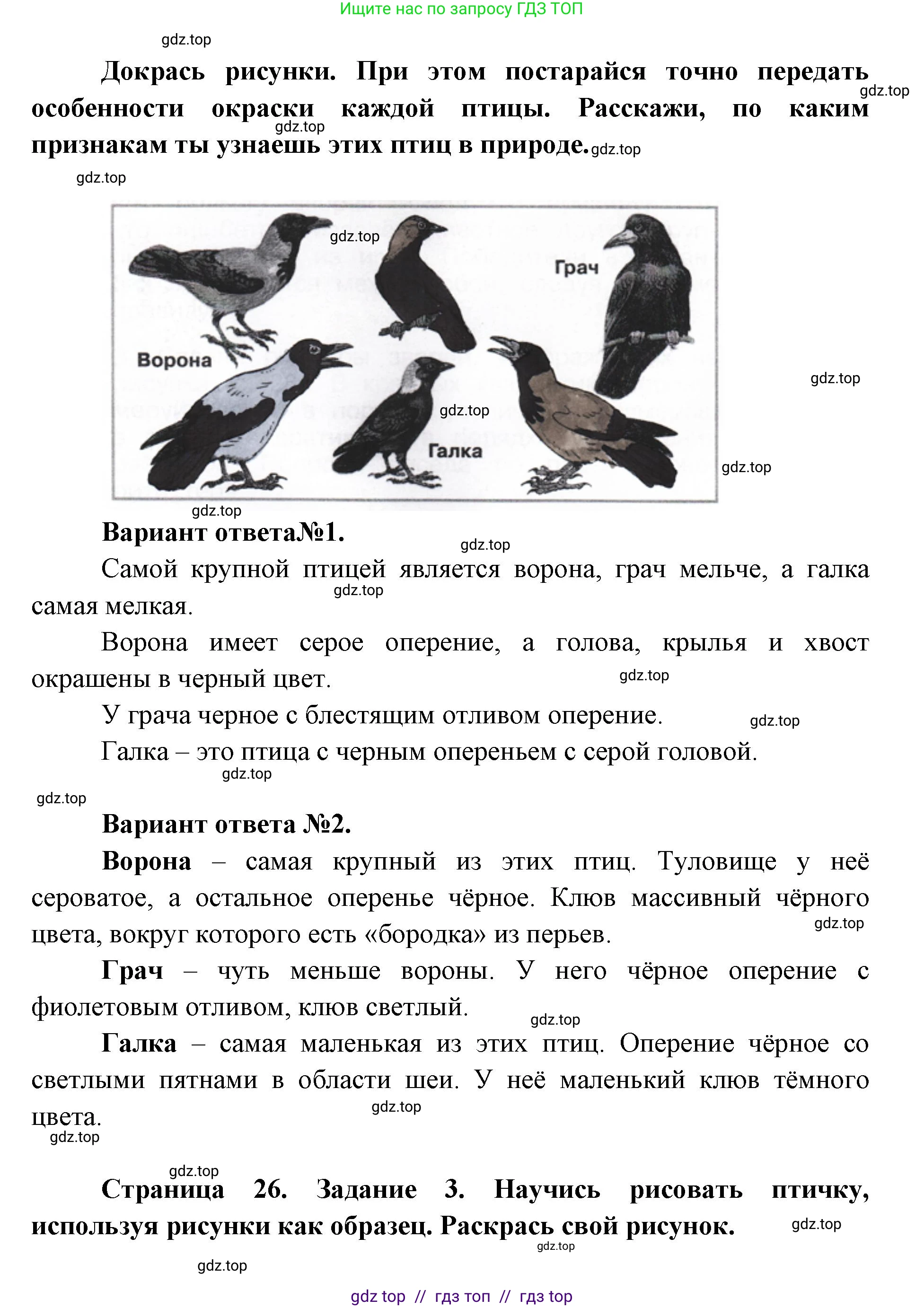Окружающий мир, 1 класс рабочая тетрадь, автор: Плешаков Андрей Анатольевич, издательство Просвещение, Москва, 2023, белого цвета, Часть 1, страница 25, Решение 2 (продолжение 2)