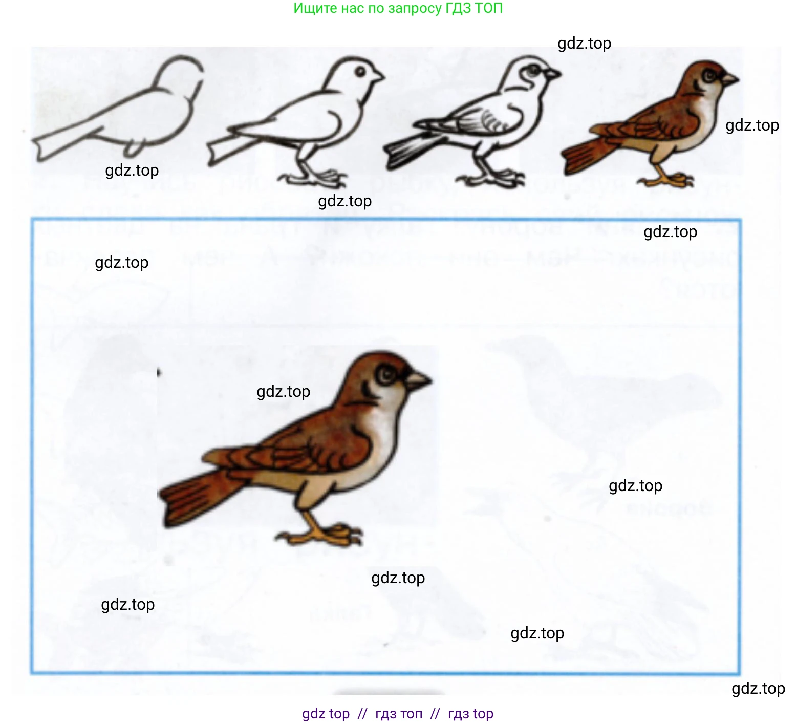 Окружающий мир, 1 класс рабочая тетрадь, автор: Плешаков Андрей Анатольевич, издательство Просвещение, Москва, 2023, белого цвета, Часть 1, страница 25, Решение 2 (продолжение 3)