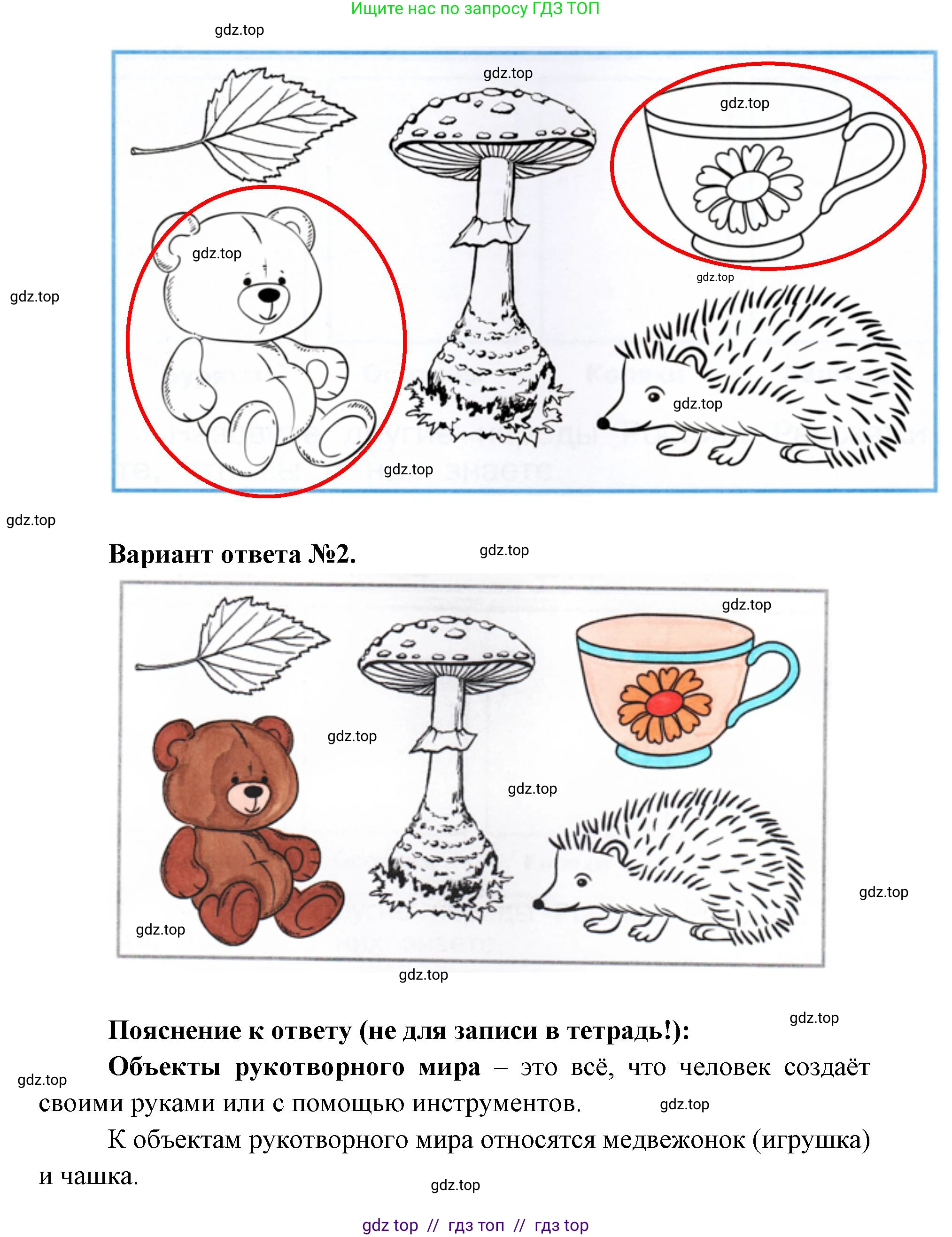 Окружающий мир, 1 класс рабочая тетрадь, автор: Плешаков Андрей Анатольевич, издательство Просвещение, Москва, 2023, белого цвета, Часть 1, страница 3, Решение 2 (продолжение 5)