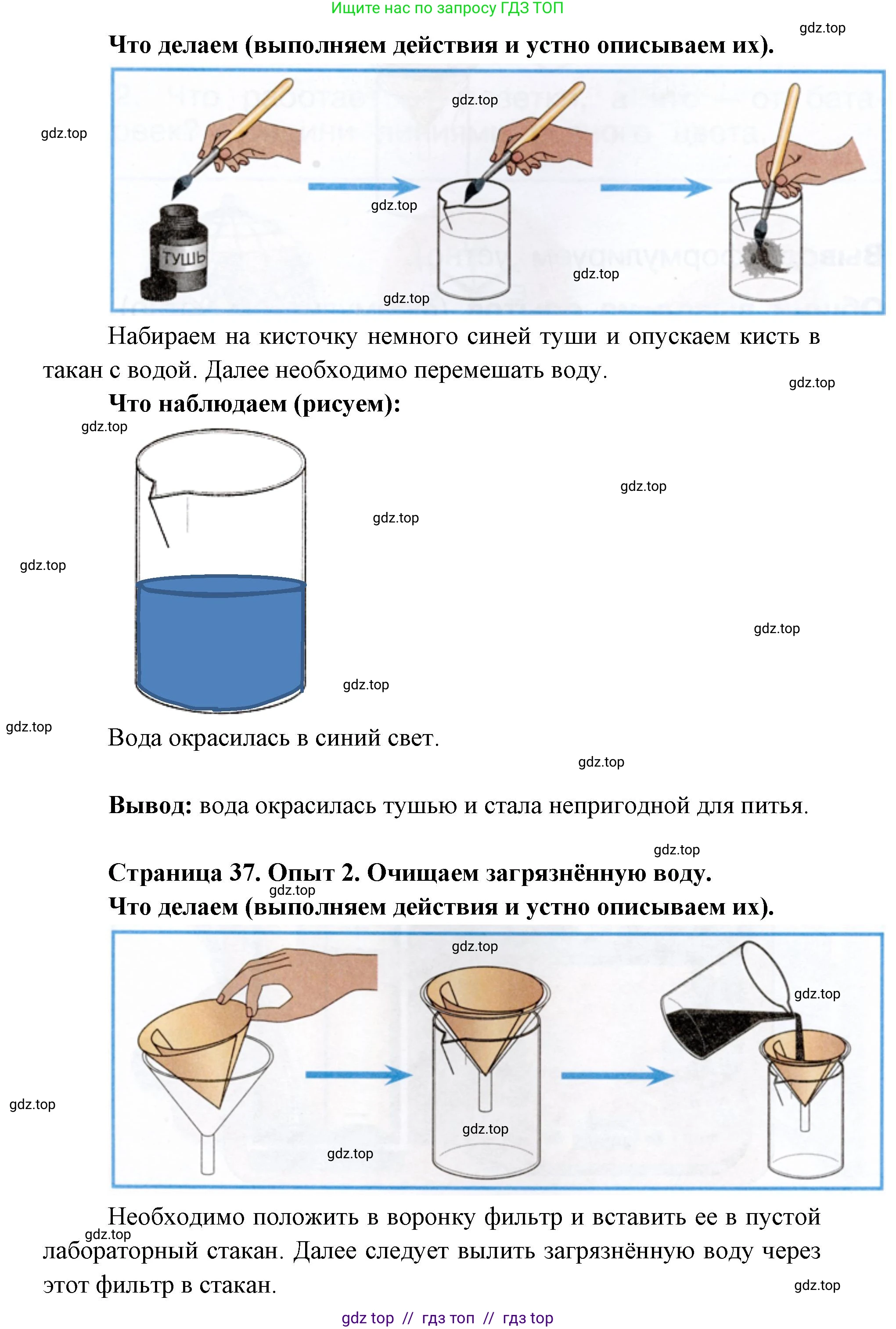 Окружающий мир, 1 класс рабочая тетрадь, автор: Плешаков Андрей Анатольевич, издательство Просвещение, Москва, 2023, белого цвета, Часть 1, страница 36, Решение 2 (продолжение 2)