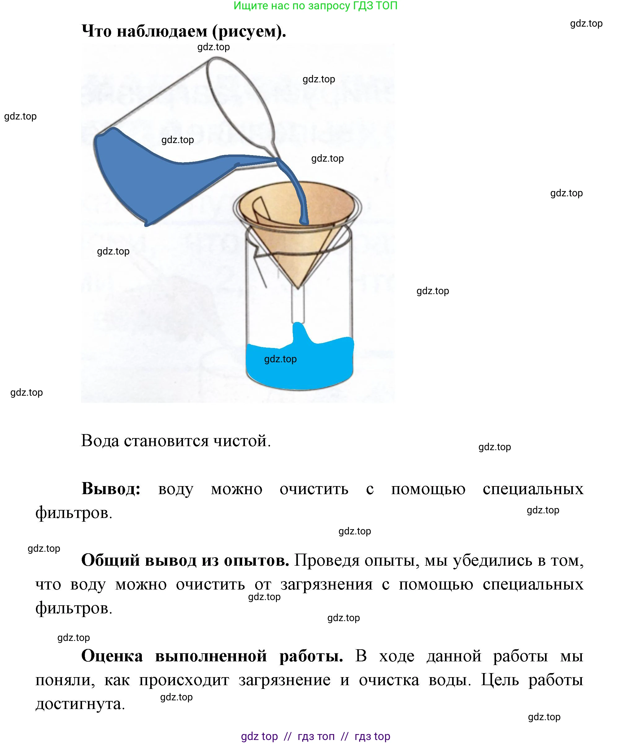 Окружающий мир, 1 класс рабочая тетрадь, автор: Плешаков Андрей Анатольевич, издательство Просвещение, Москва, 2023, белого цвета, Часть 1, страница 36, Решение 2 (продолжение 3)