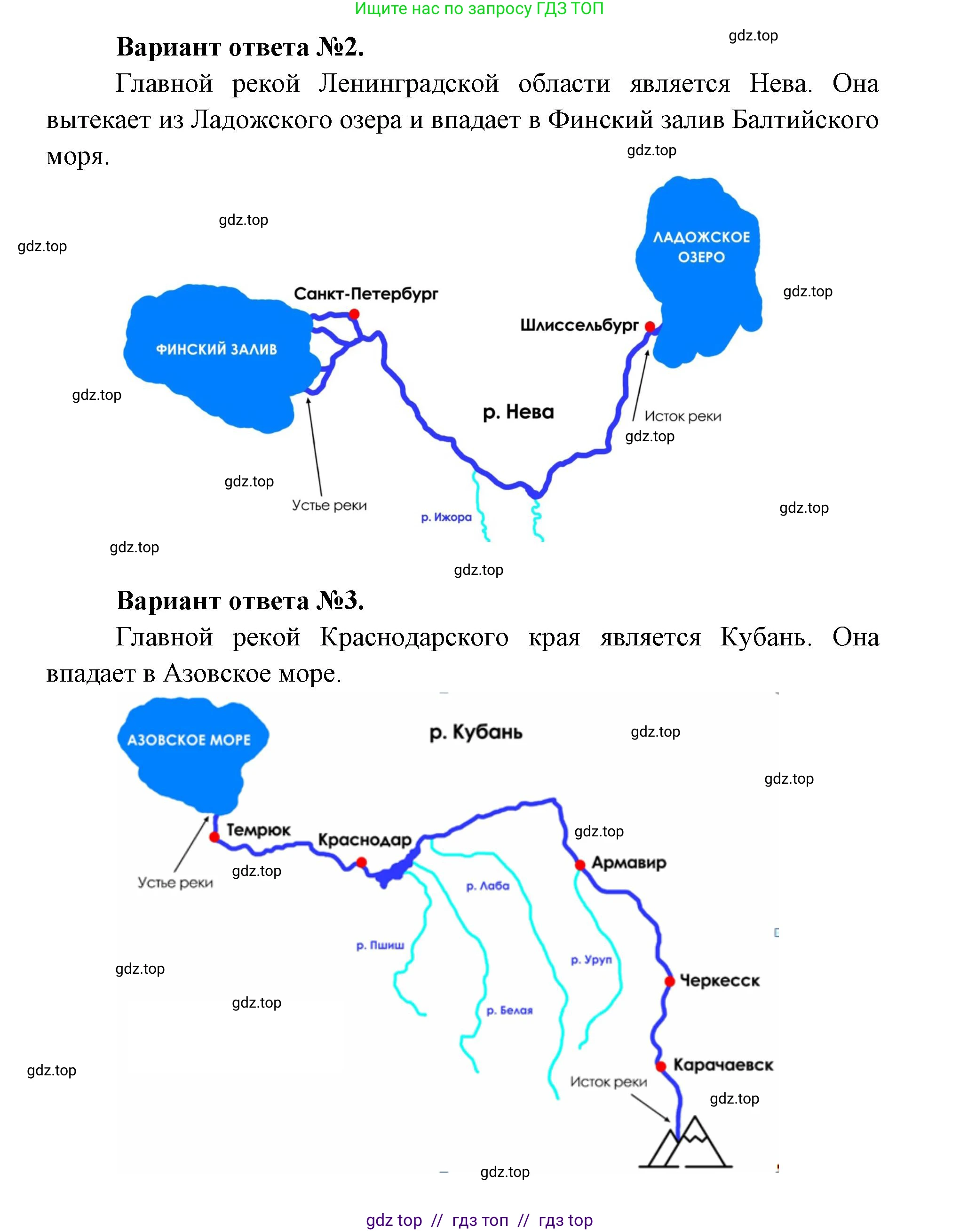 Окружающий мир, 1 класс рабочая тетрадь, автор: Плешаков Андрей Анатольевич, издательство Просвещение, Москва, 2023, белого цвета, Часть 1, страница 40, Решение 2 (продолжение 3)