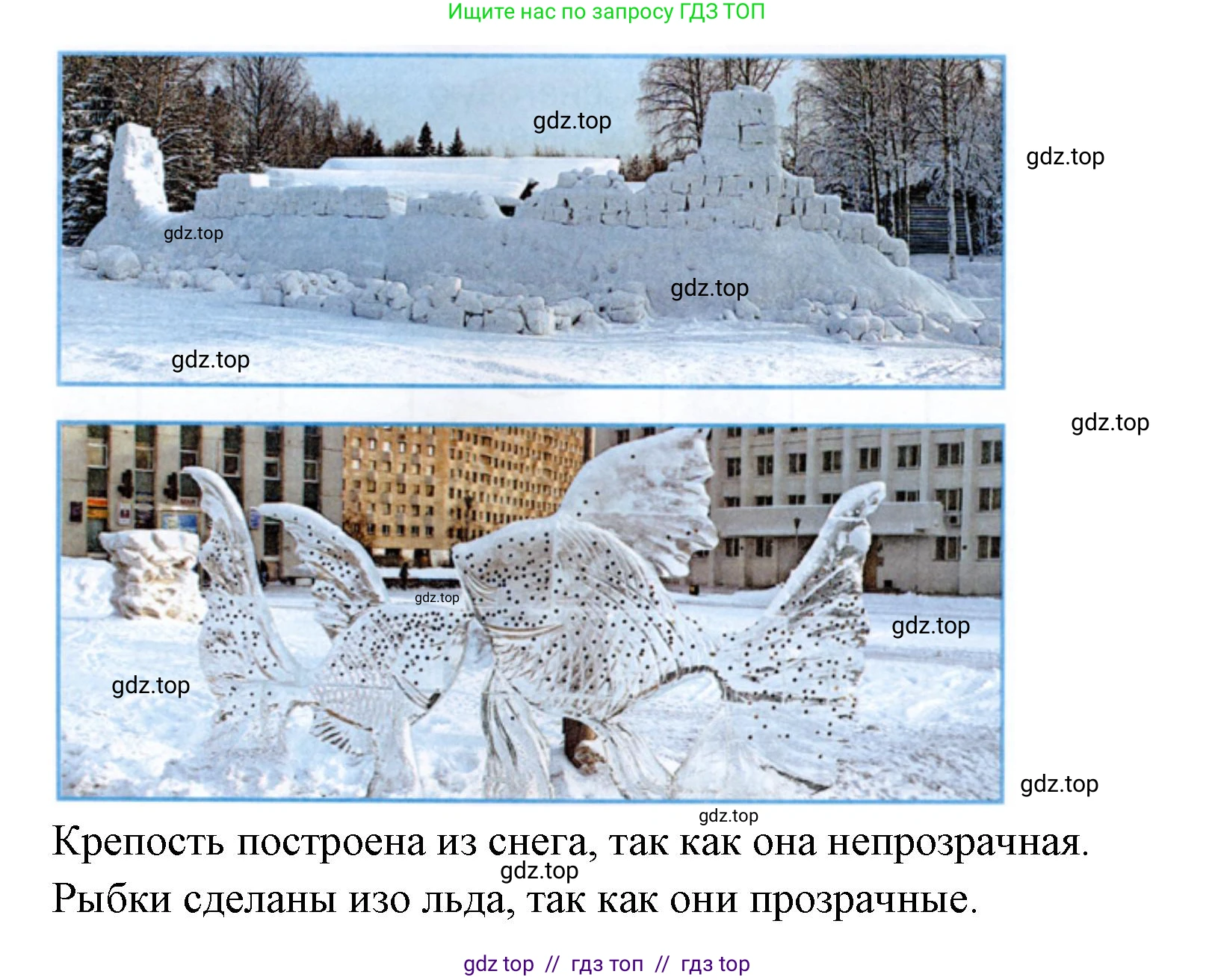 Окружающий мир, 1 класс рабочая тетрадь, автор: Плешаков Андрей Анатольевич, издательство Просвещение, Москва, 2023, белого цвета, Часть 1, страница 44, Решение 2 (продолжение 4)