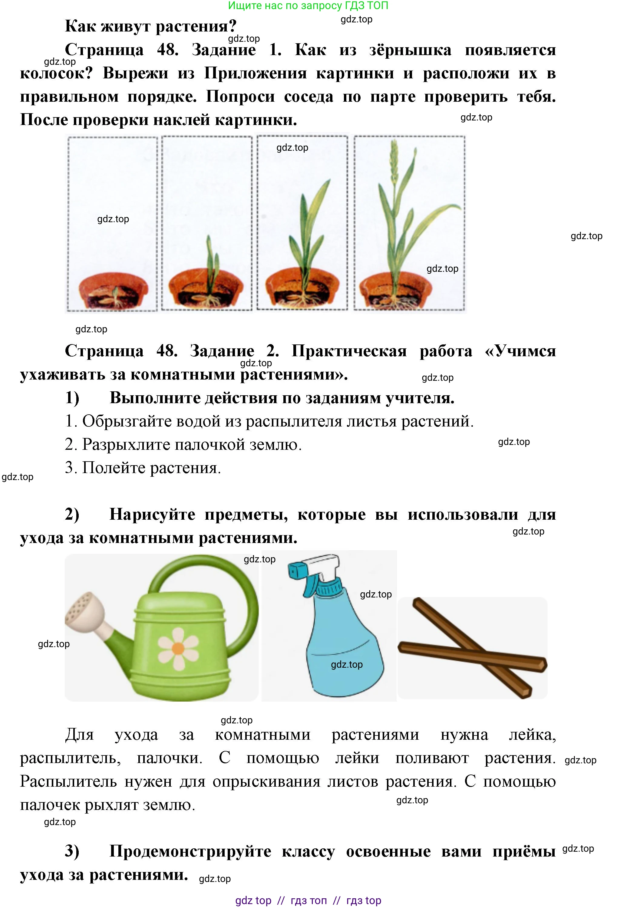 Окружающий мир, 1 класс рабочая тетрадь, автор: Плешаков Андрей Анатольевич, издательство Просвещение, Москва, 2023, белого цвета, Часть 1, страница 48, Решение 2