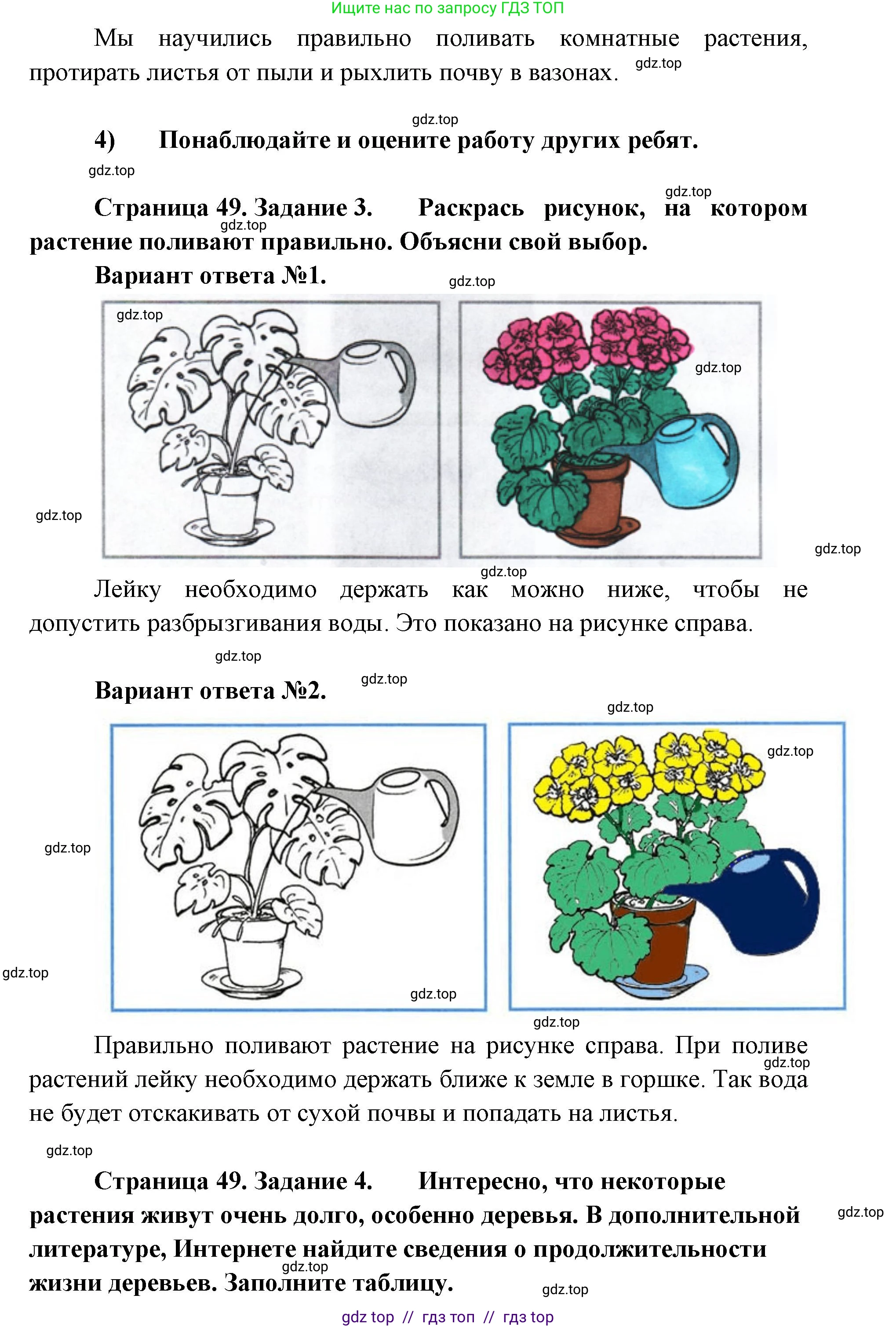 Окружающий мир, 1 класс рабочая тетрадь, автор: Плешаков Андрей Анатольевич, издательство Просвещение, Москва, 2023, белого цвета, Часть 1, страница 48, Решение 2 (продолжение 2)