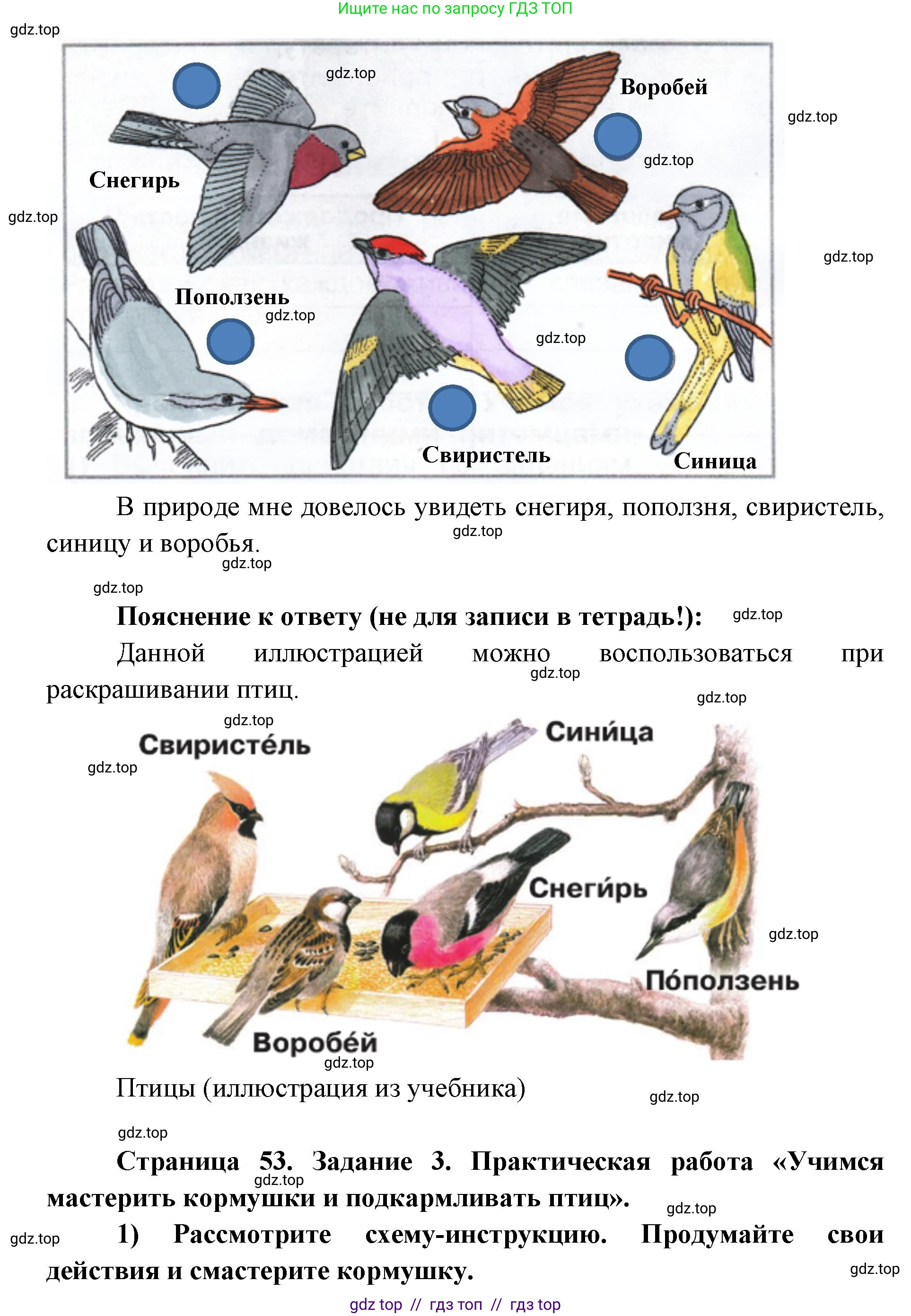 Окружающий мир, 1 класс рабочая тетрадь, автор: Плешаков Андрей Анатольевич, издательство Просвещение, Москва, 2023, белого цвета, Часть 1, страница 52, Решение 2 (продолжение 2)